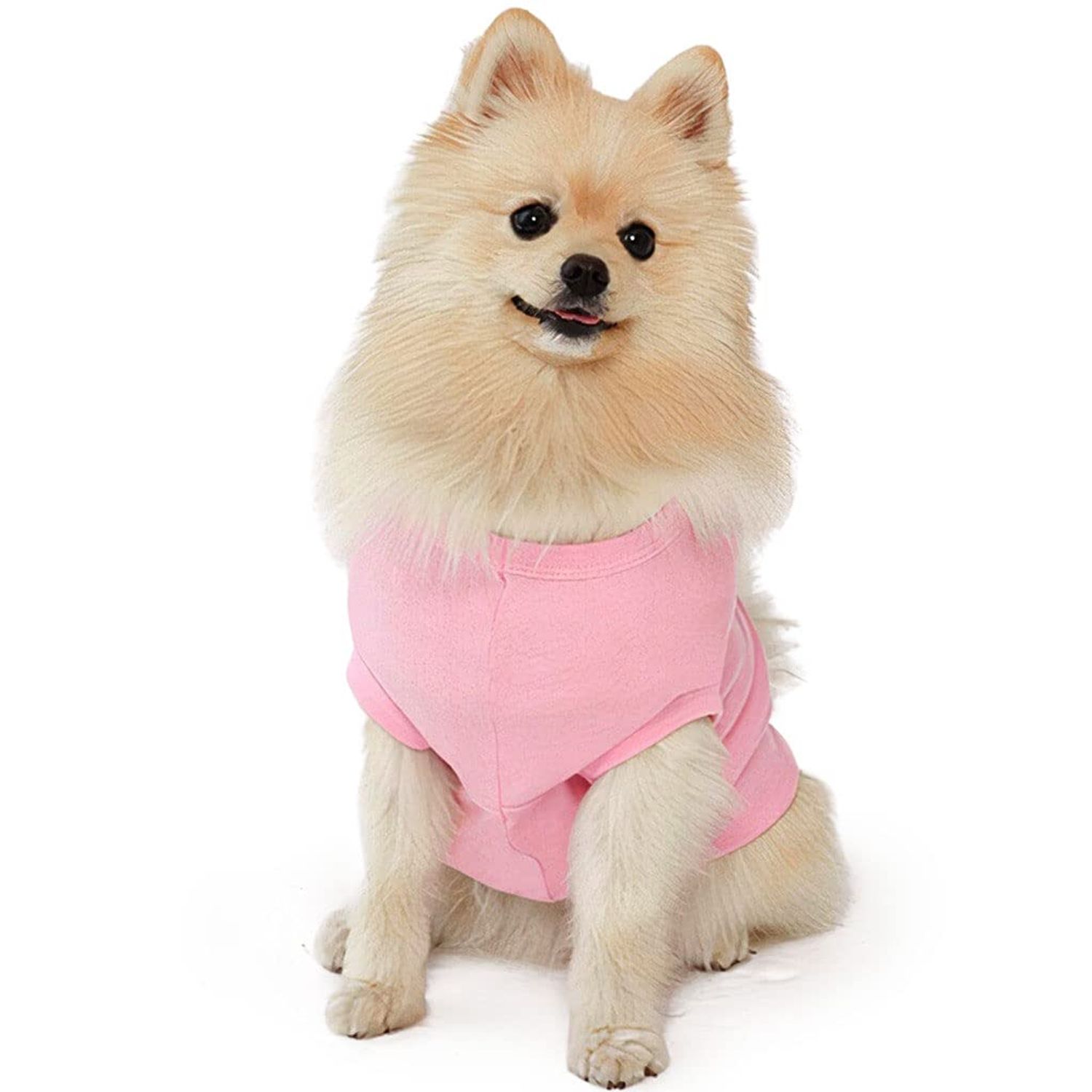 Let's Go Camping Dog Sleeveless Shirt - Tent Dog Shirt - Camping Dog Clothing - Pink, XL