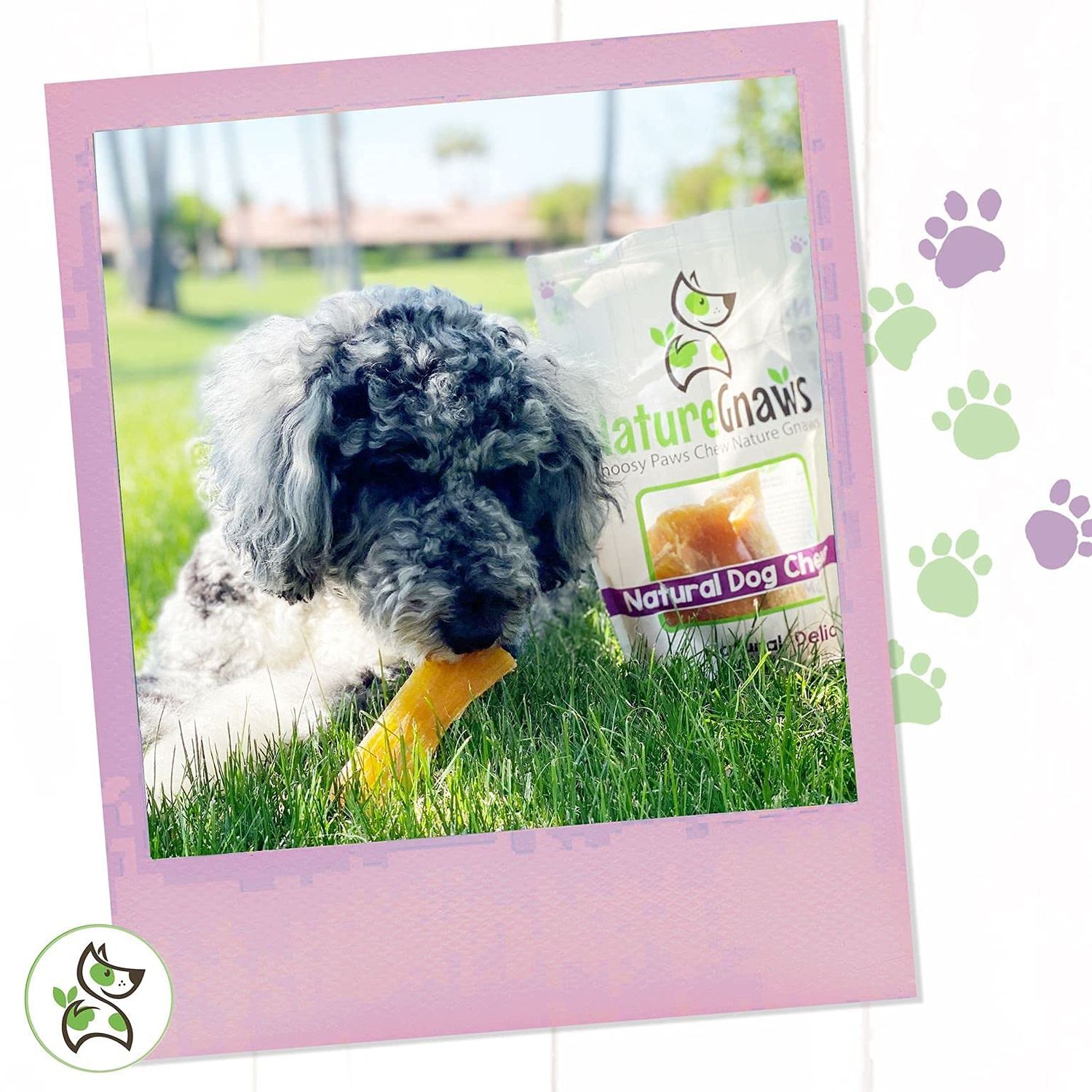 Nature Gnaws Paddywack Tendons for Dogs - Premium Natural Beef Dental Bones - Long Lasting Dog Chew Treats for Medium & Large Dogs - Rawhide Free 5-7 inch