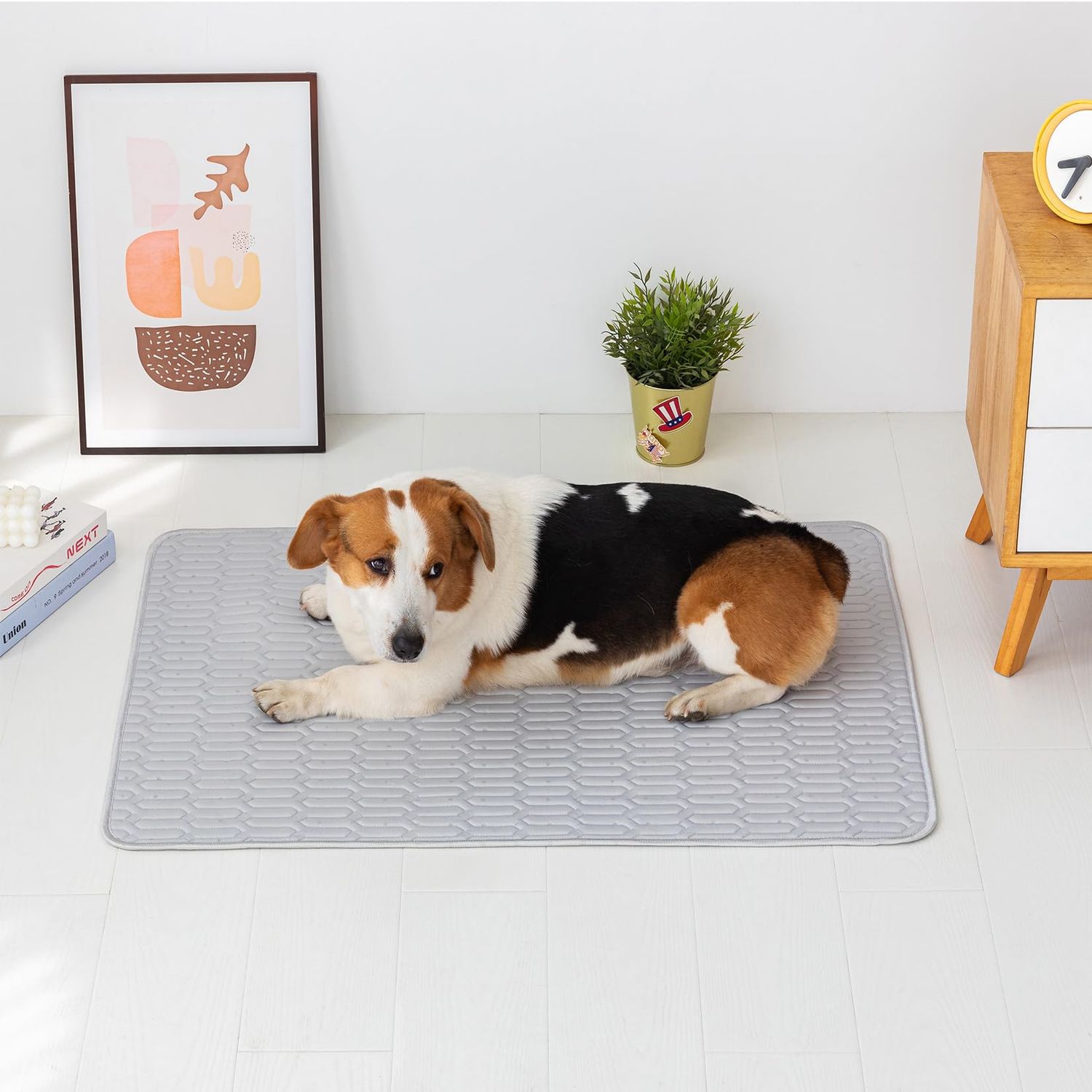 HEJAKAR Dog Cooling Mat - Self-Cooling Blanket for Pets,Breathable,Lightweight,Portable,Ideal for Hot Summer Days and Travel,28x40 Inch,Light Gray