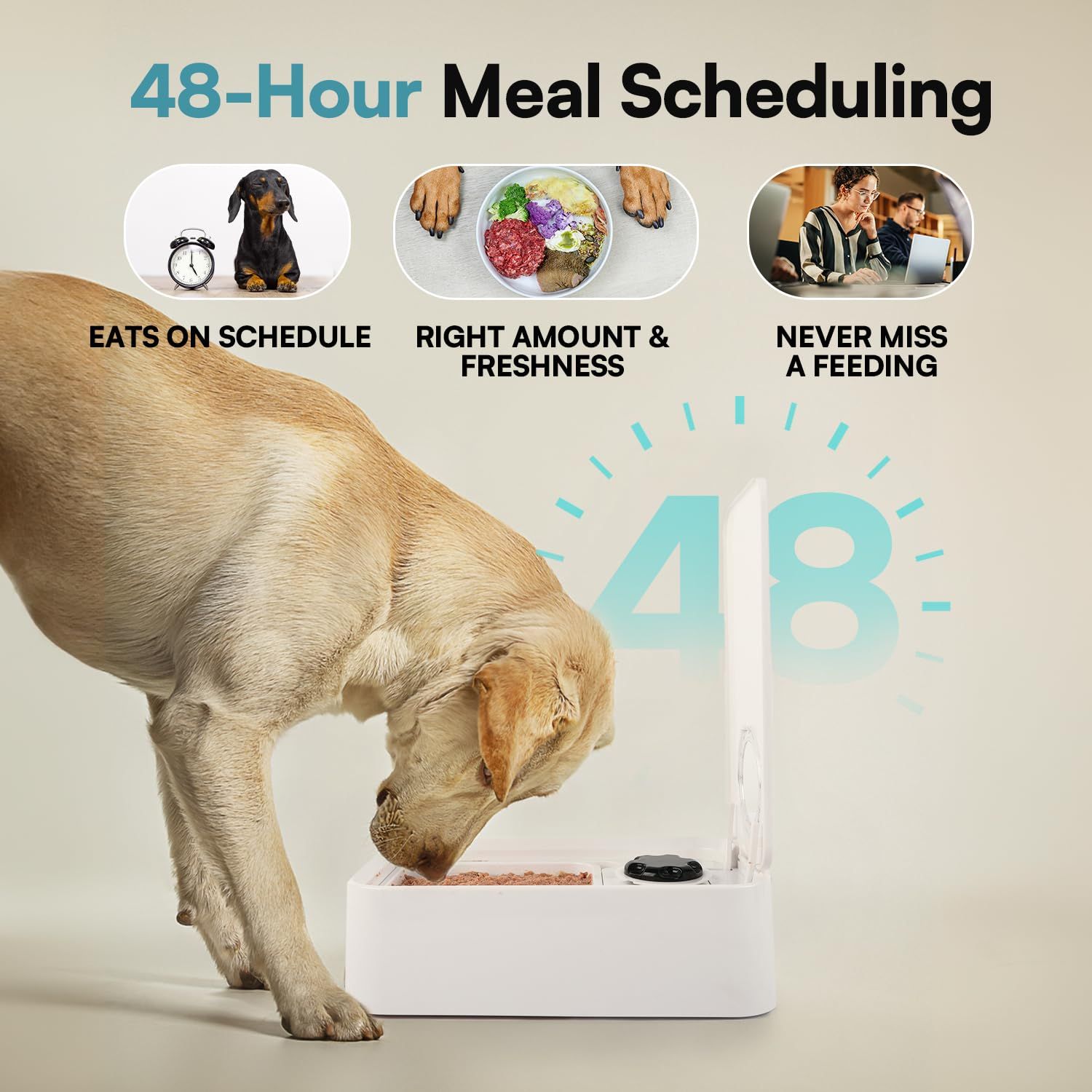 ALL FOR PAWS Timed Dog Feeder with Ice Pack – 1 Meal | Automatic Pet Food Dispenser | Portion Control | Keep Fresh | Ideal for All Dog Breeds (1 Meal)