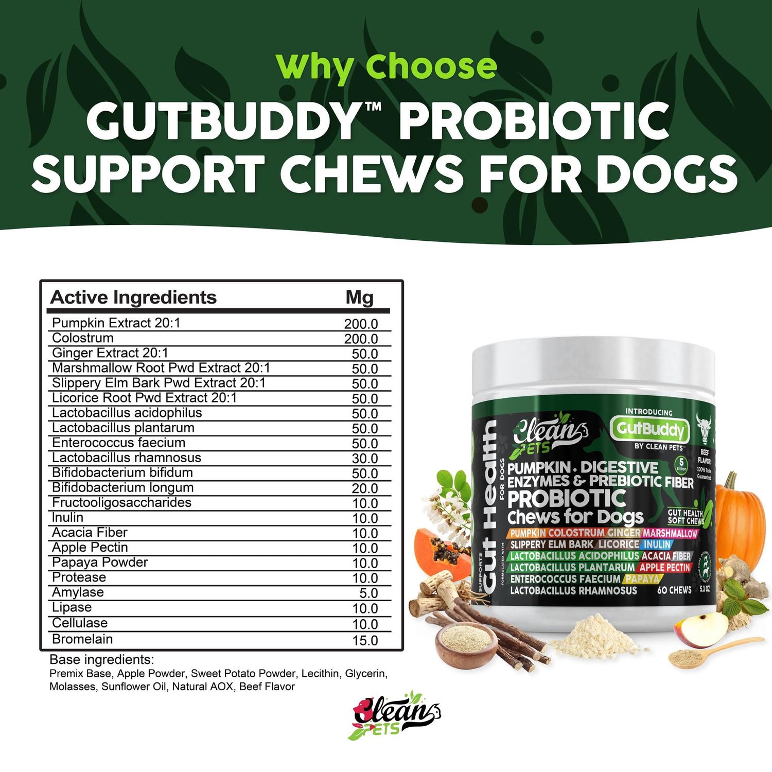 Clean Pets Probiotics for Dogs with Pumpkin, Colostrum, Digestive Enzymes, Ginger, Slippery Elm, Licorice, Inulin Fiber & More | Beef Flavor Soft Chews for Gut Health and Digestion Dog Supplement