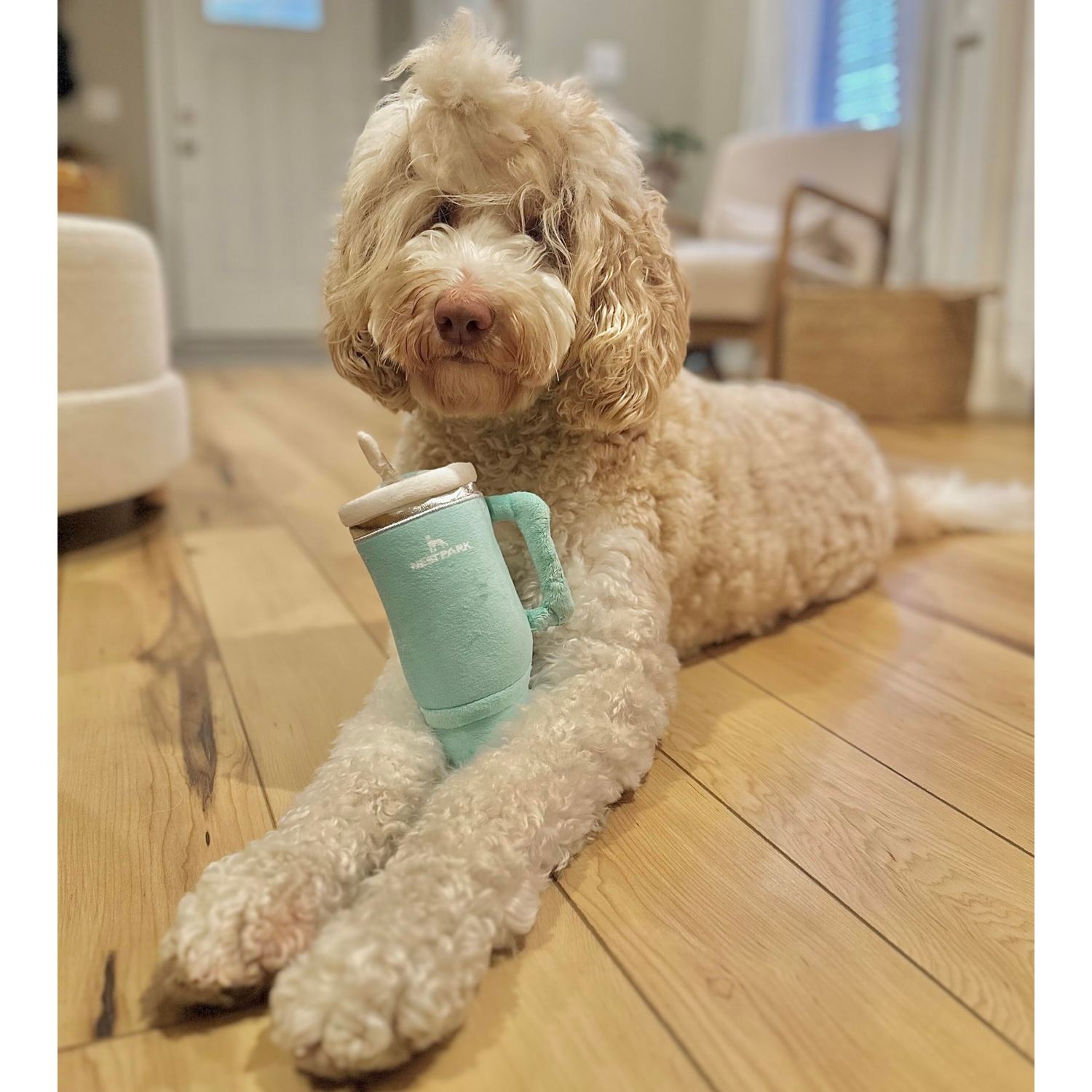Nestpark Tumbler Cup Funny Dog Toy - Parody Plush Squeaky Crinkle Dog Toy (Mint Green)