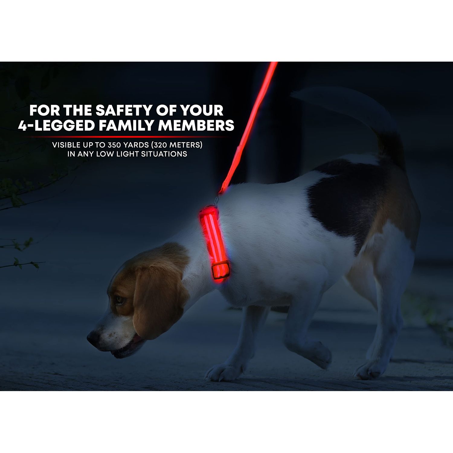 ILLUMISEEN LED Dog Collar USB Rechargeable ? Bright & High Visibility Lighted Glow Collar for Pet Night Walking ? Weatherproof, in 6 Colors & 6 Sizes (Red Medium)