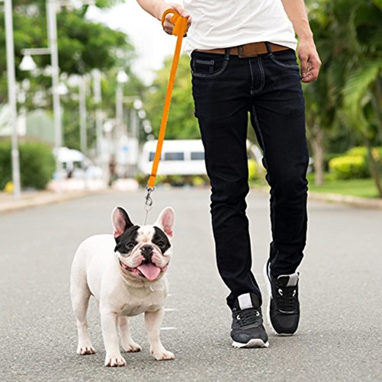Downtown Pet Supply - Long Dog Leash - Dog Training Leash - Recall & Obedience Dog Training Tools - Nylon - 50 ft - Orange Dog Leash