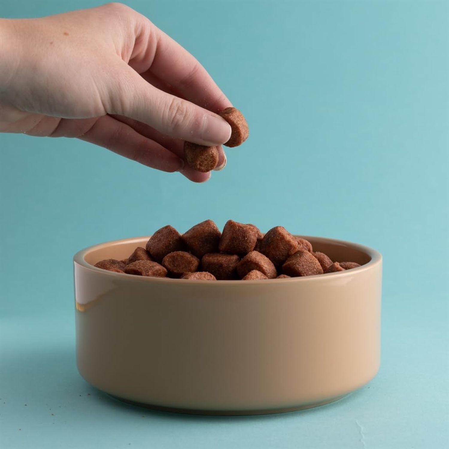 Mason Cash Cane Ceramic Dog Bowl, 6 inch