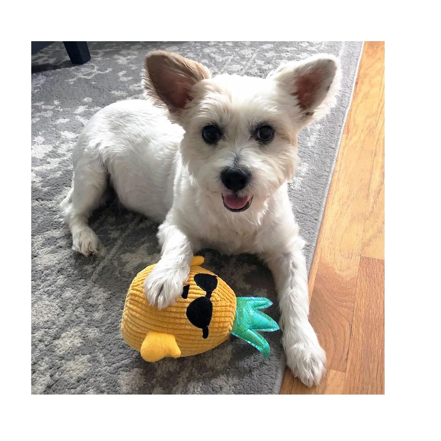 Dog Toys 8 Inch Hawaiian Pineapple Soft Plush Squeaker Crinkle Choose Boy Girl or Set of Both (8 Inch Boy Pineapple)