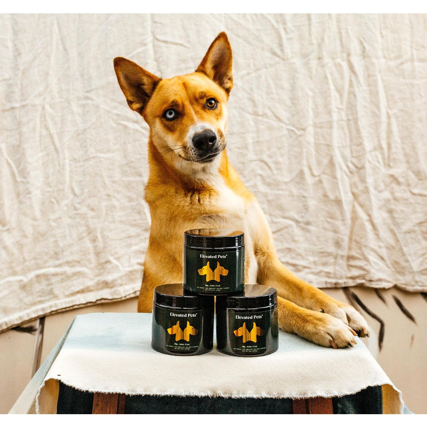 Ultra-Healthy Omega 3 Fish Oil Treats w/MSM, Glucosamine, Chondroitin, EPA/DHA for Dogs: Elevated Pets Fish Oil, Turmeric & Joint Supplement + Allergy Chews - Ultimate Dog Vitamin Supplement