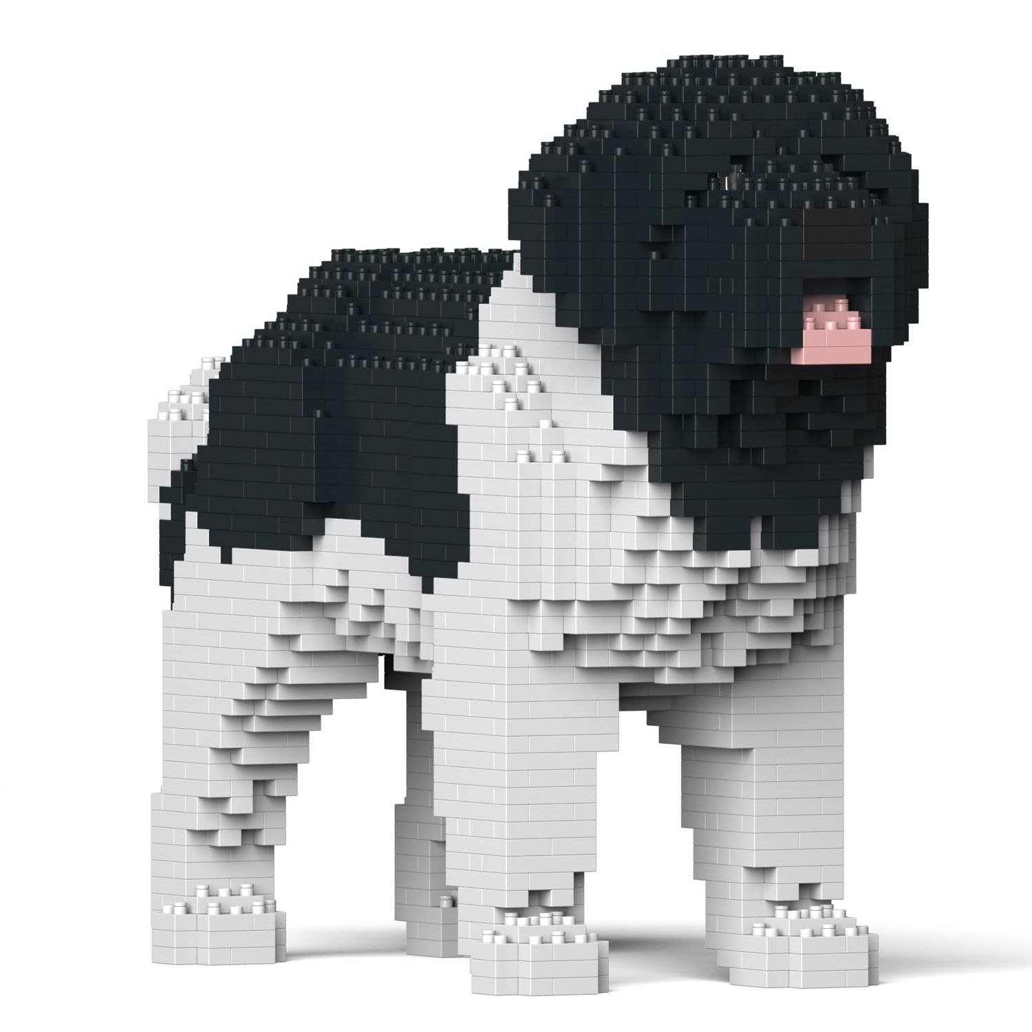 JEKCA Newfoundland Dog 01S-M03 | Plastic Building Blocks | Age 14+