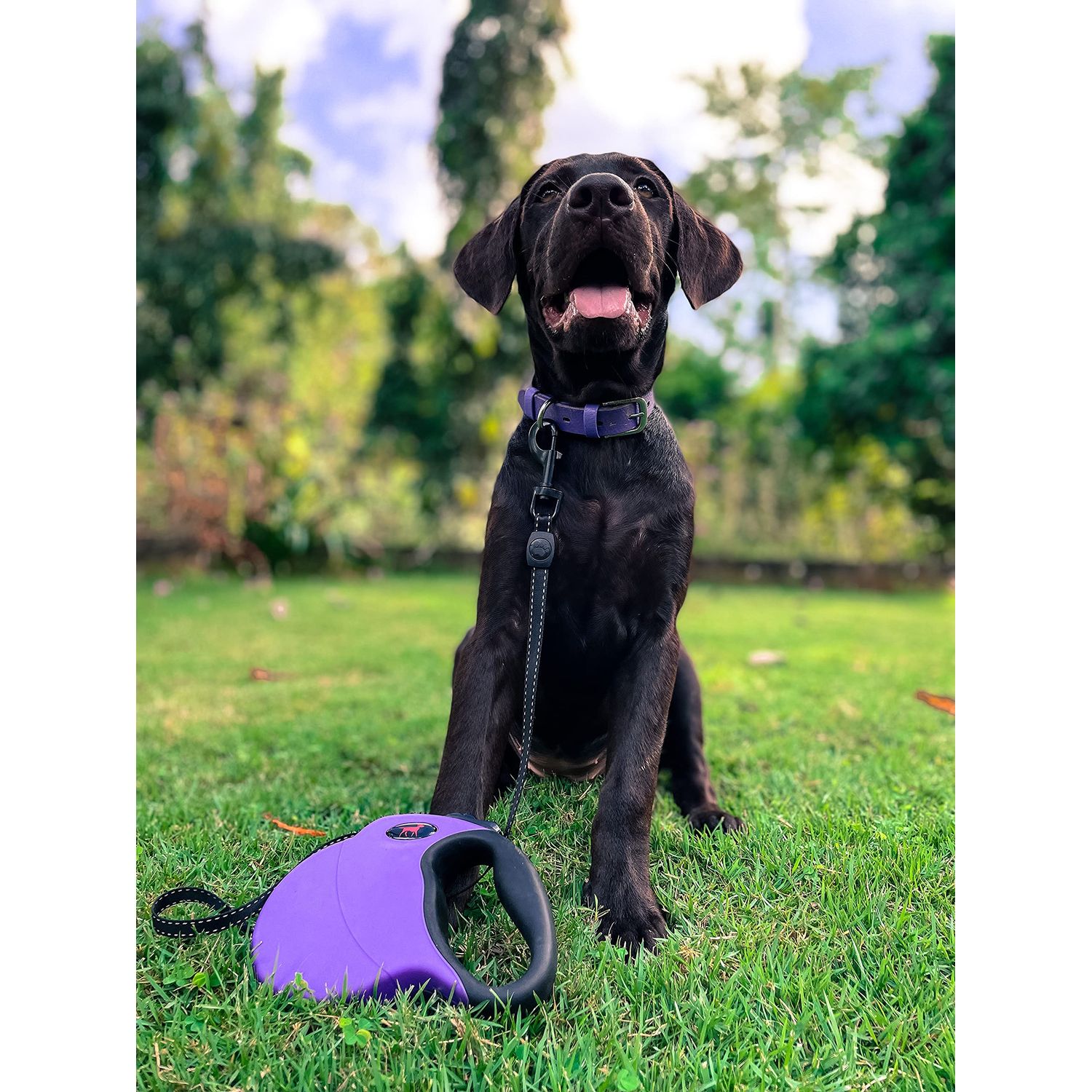Tuff Pupper Heavy Duty Retractable Dog Leash | 16 ft Dog Leash with Reflective Stitching for Nighttime Safety | One Button Lock and Release | Comfortable Hand Grip | for Dogs Up to 120 lbs