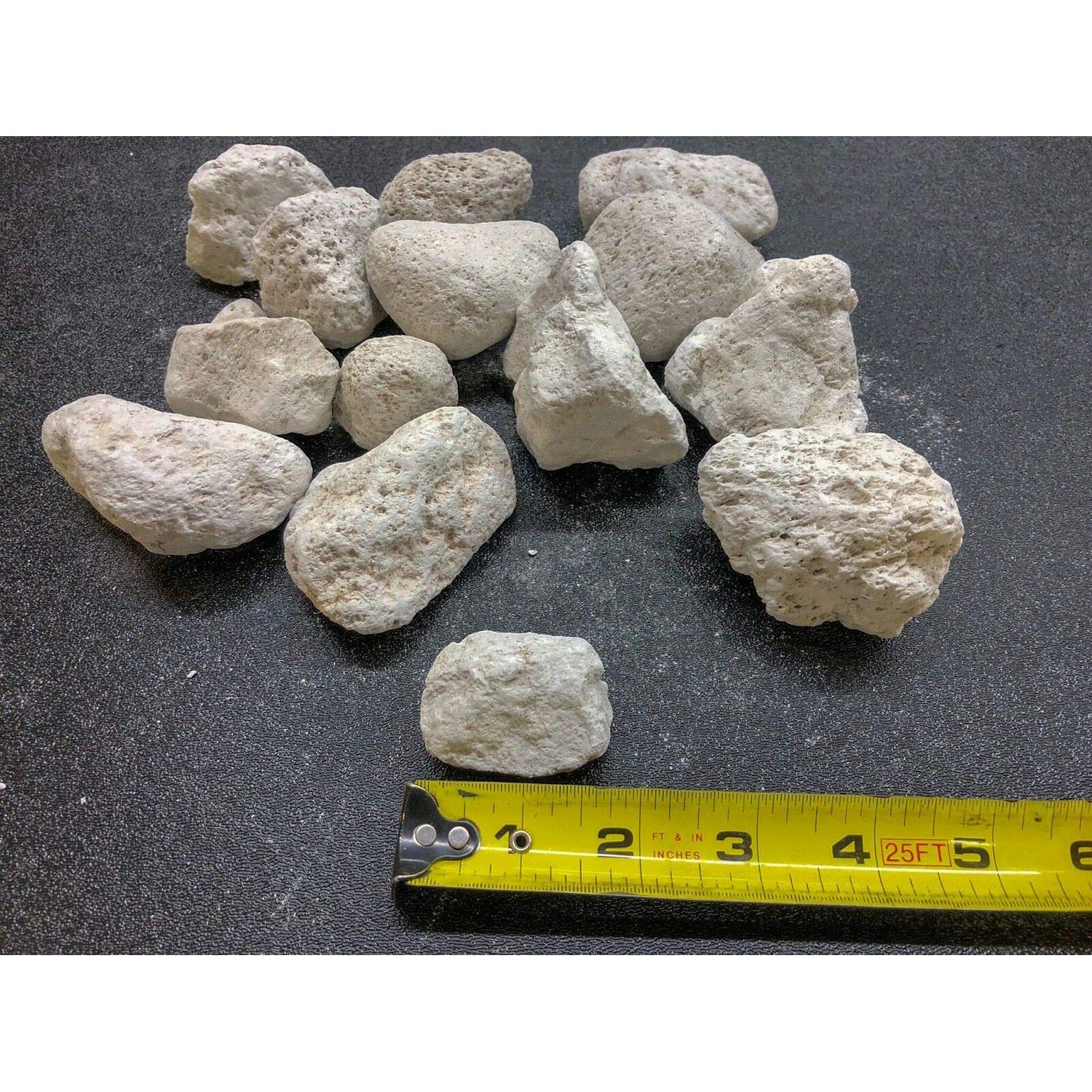 1 Gallon Natural Premium Quality Pumice Filter Media for Koi Pond, Bakki Shower, Fresh Water & Marine Aquariums