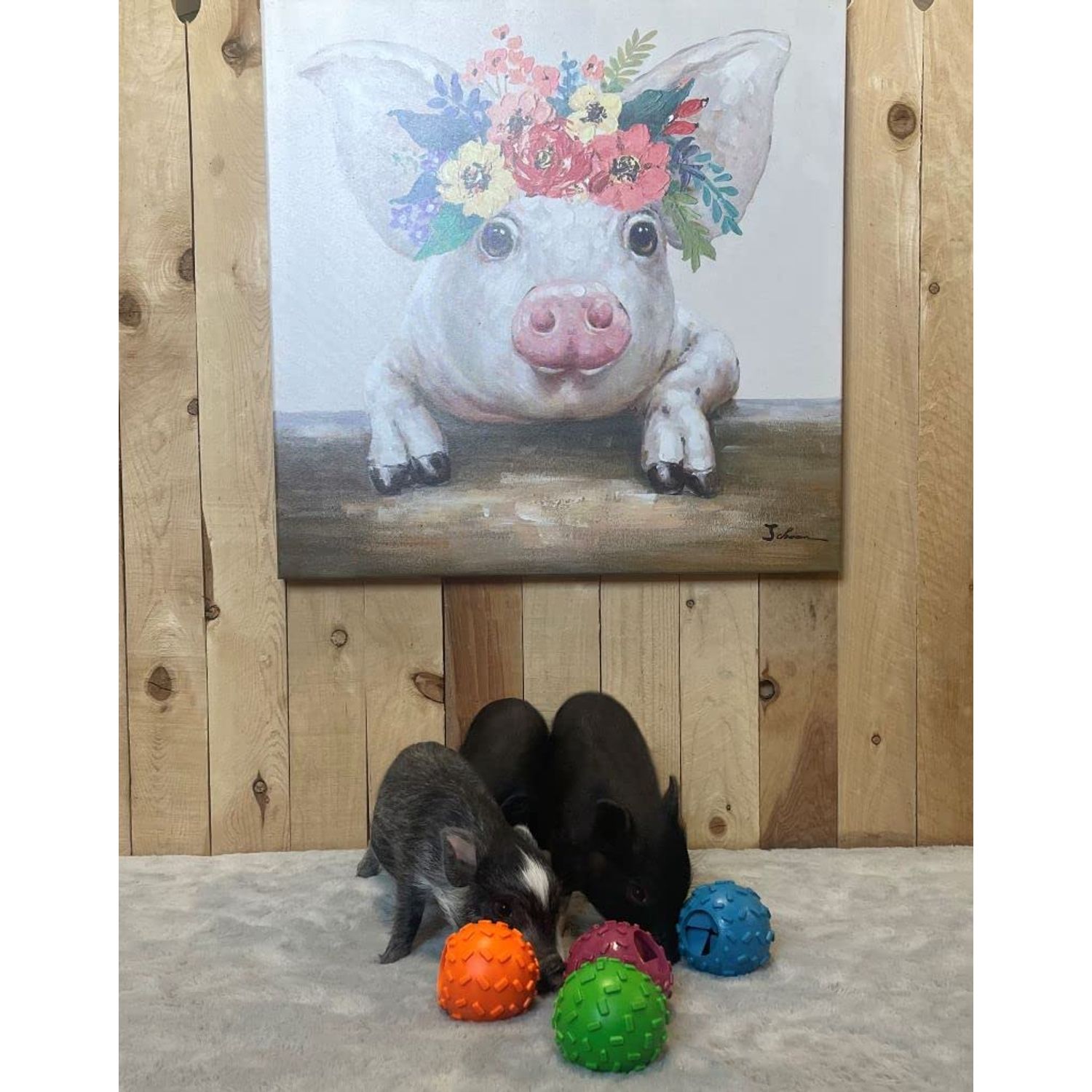 Challenging Treat-Dispensing Ball for Pigs Piglets Dogs Rabbits Cats and Other Small Animals – Mental Stimulation and Playtime Fun
