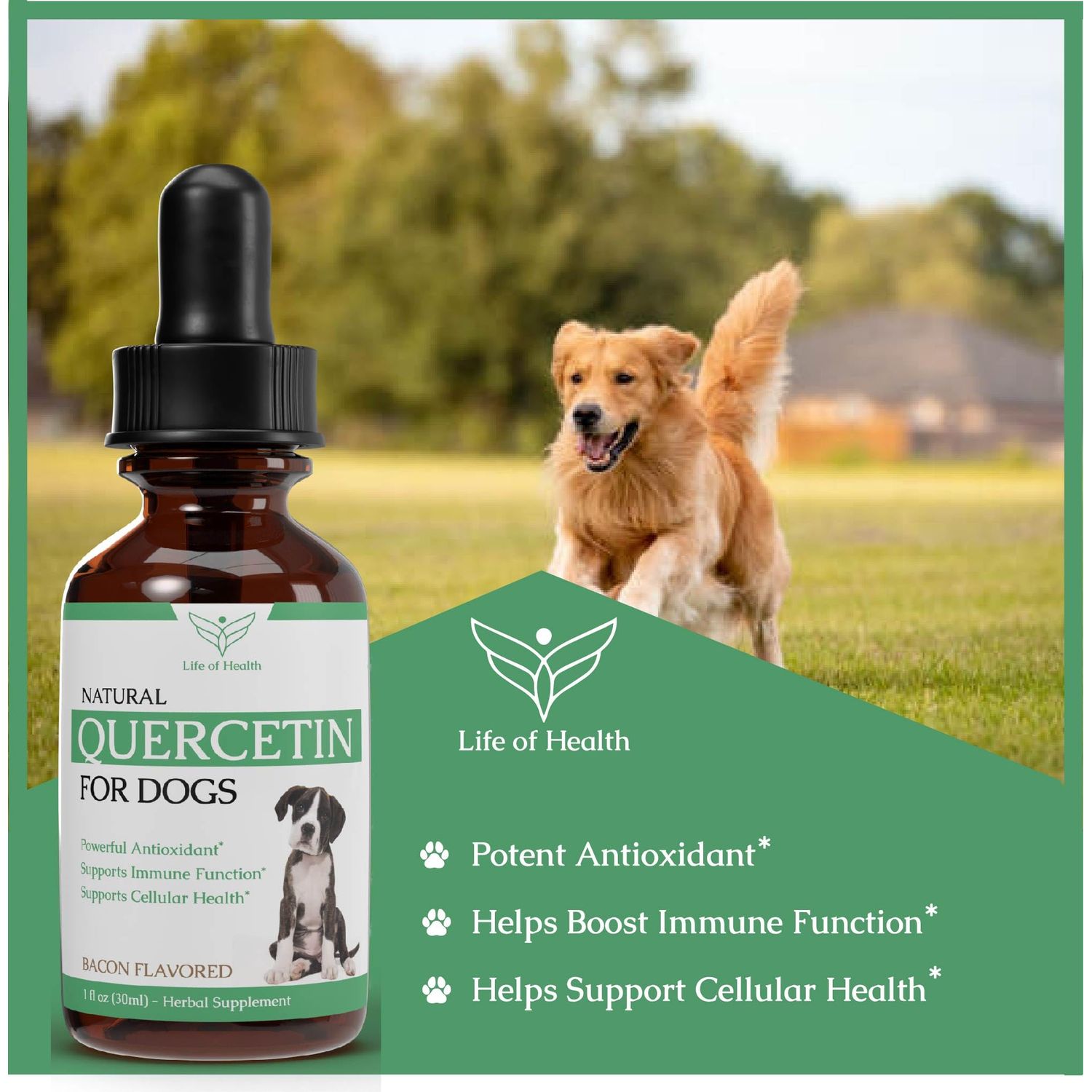 Quercetin for Dogs - Quercetin for Dogs Allergies - Dog Allergy Support - Dog Allergy - Quercetin - Quercetin Dog - Dog Allergies - Quercetin Supplements - Dog Allergy Relief - 1 fl oz