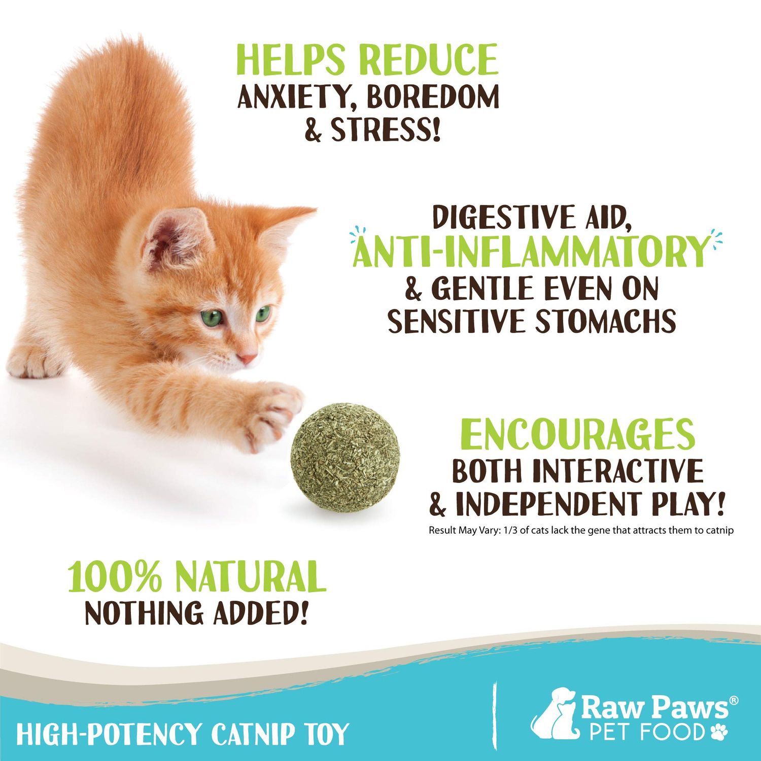 Raw Paws Catnip Balls, 6 ct - Interactive Cat Toy for Indoor Cats - Cat Ball Toy - Kitten Toys - Cat Nip Ball Cat Toy - Cat Lick Ball - Cat Nip Cat Toys - Natural Catnip Ball for Cats of All Breeds