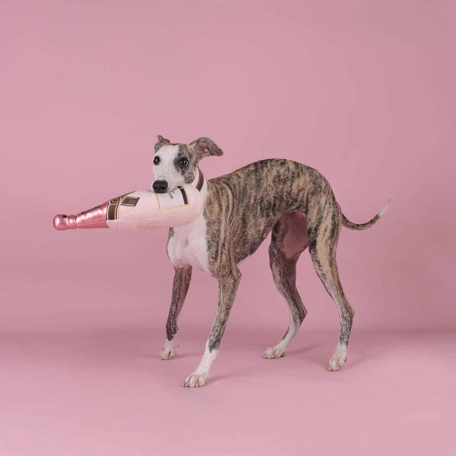 CHEWFFON Dog Toy, Squeaky Dog Toys for Boredom, Plush Pet Present Chew Toy for All Breeds Dogs, Pink Champagne Shape Interactive Puppy Toys for Birthday Stimulating Gifts