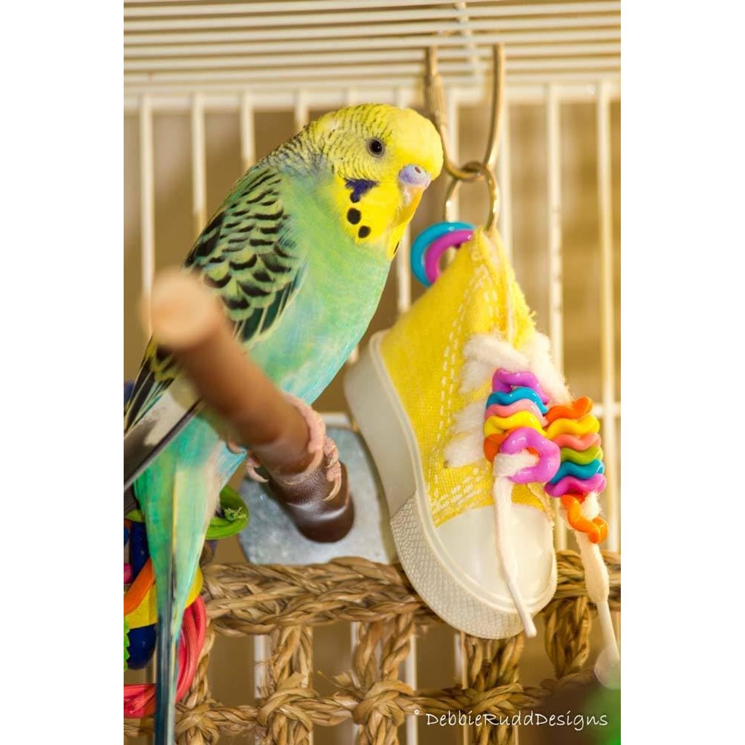 Super Bird Creations SB719 Beaker Sneaker Bird Toy for Parrotlets, Parakeets, Cockatiels, Lovebirds, ringnecks, Medium Conures - Mini Colorful Canvas Sneaker - Small/Medium Bird Size, 6" x 2"