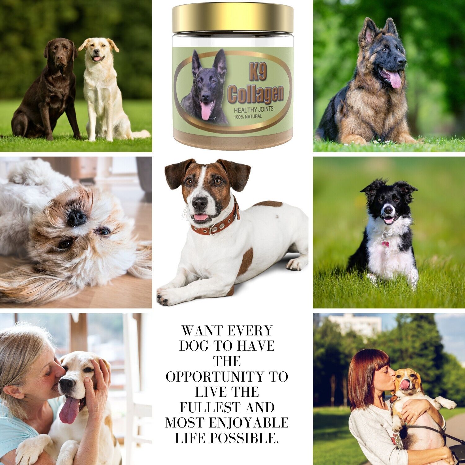 Collagen Hip-Joint Pet Dog Supplements Improve Mobility Health For 1 Month