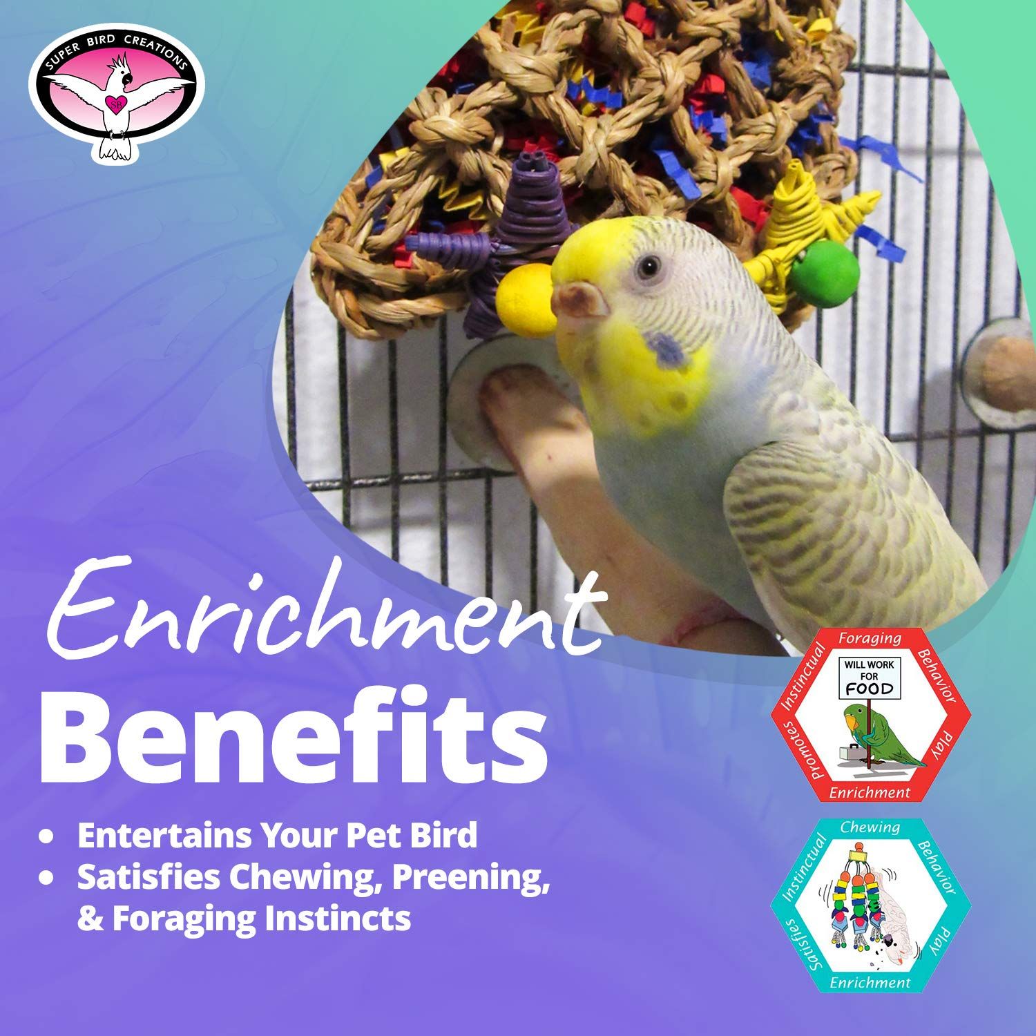 Super Bird Creations SB949 Foraging Bird Toy - Ideal for Small to Medium Birds - Fun & Entertaining Bird Toy - Pickin’ Pocket Design - Bird Safe Component - 5” x 3” x 7.5”