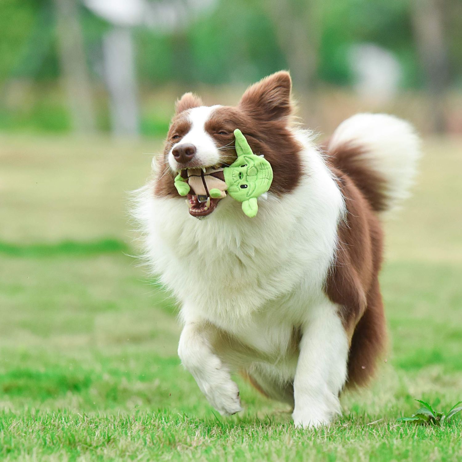 Star Wars Dog Toy Yoda 5 Inch Plush Flattie Dog Toy - Small Yoda Dog Toy, Small Dog Chew Toy for All Dogs - Flat Dog Toy, Stuffingless Dog Toy for Pets