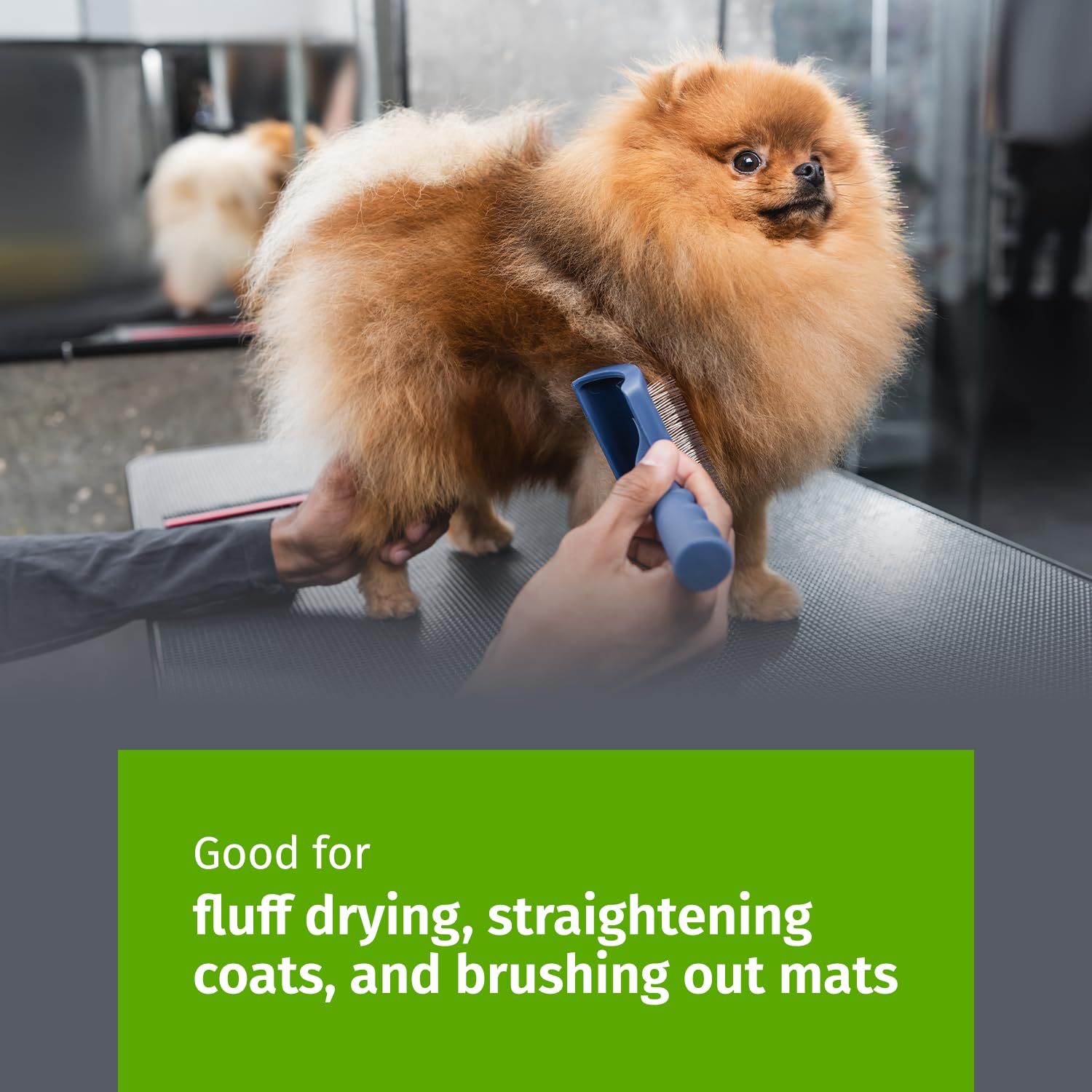 Show Tech Tuffer Than Tangles Slicker Brush for Dog Grooming with Long, Soft Pins, Medium Size, Perfect for Doodle Breeds, Angled Pins for Dematting, Remove Undercoat, Comfort Grip Handle