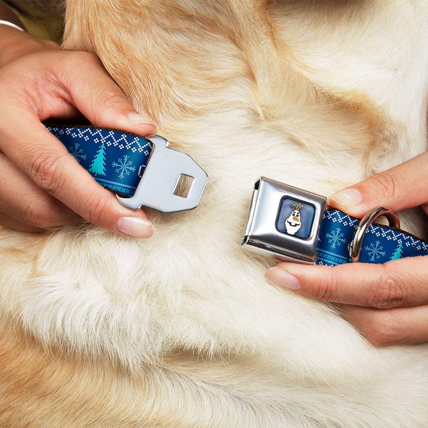 Buckle-Down Seatbelt Buckle Dog Collar - Anna & Hans/Anna & Kristoff Poses - 1.5" Wide - Fits 18-32" Neck - Large