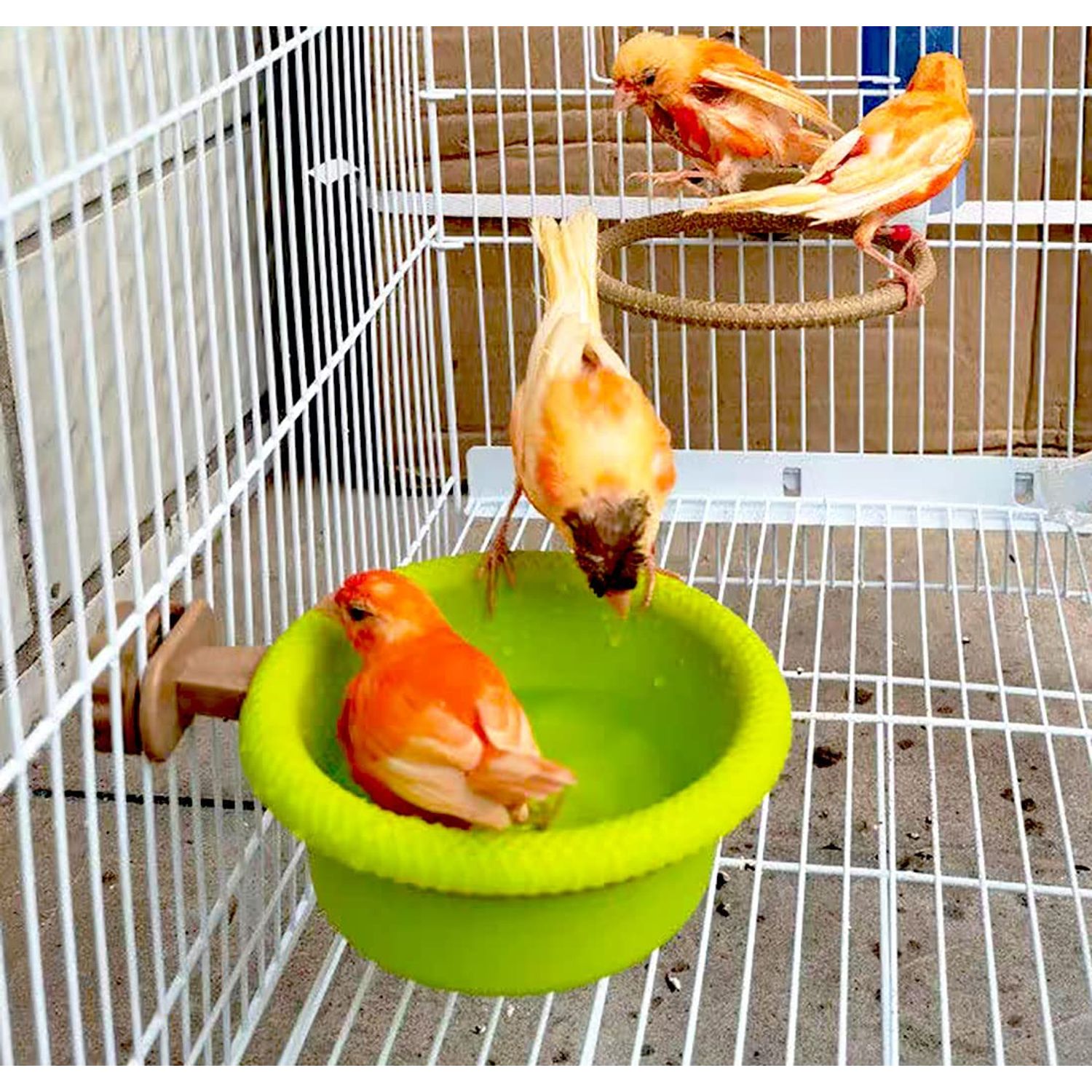 Bird Bath for Cage-4.7" Multi-Function Universal Style Small Tub Bowl for Hang Inside Cage Birdbath Shower for Parrot/Parakeets/Cockatiels/Canary/Budgerigar(Green)