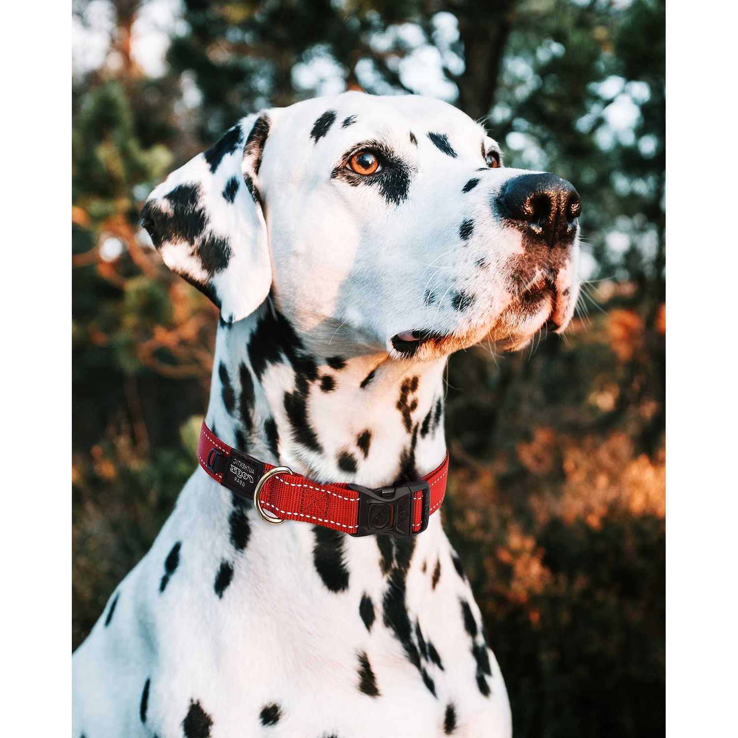 Reflective Dog Collar for Extra Large Dogs, Adjustable from 17-27 inches, Red