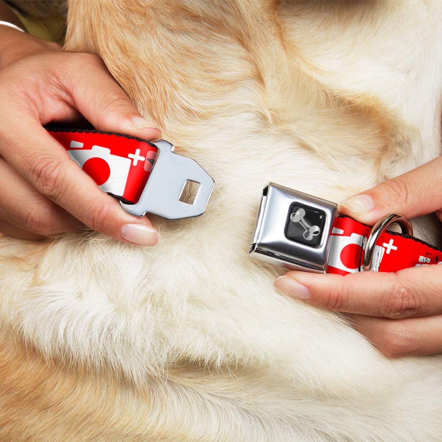 Buckle-Down Seatbelt Buckle Dog Collar - Camera Red/White - 1.5" Wide - Fits 16-23" Neck - Medium