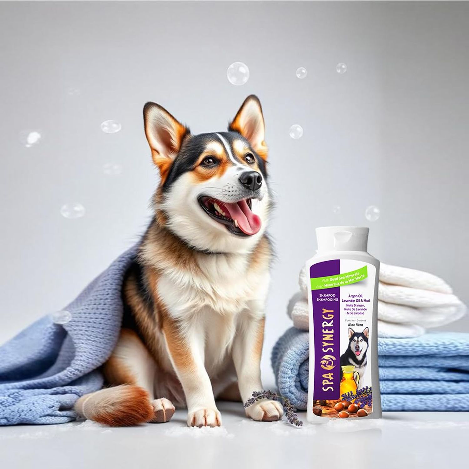 Spa Synergy Pet Dog Shampoo Mud and Natural Dead Sea Mineral Rich, Aloe Vera & Vitamin-E, Anti Dandruff, Relief Psoriasis & Eczema, Moisturizing - Argan Oil & Lavender Oil - (1) Bottle 16.5 FL OZ