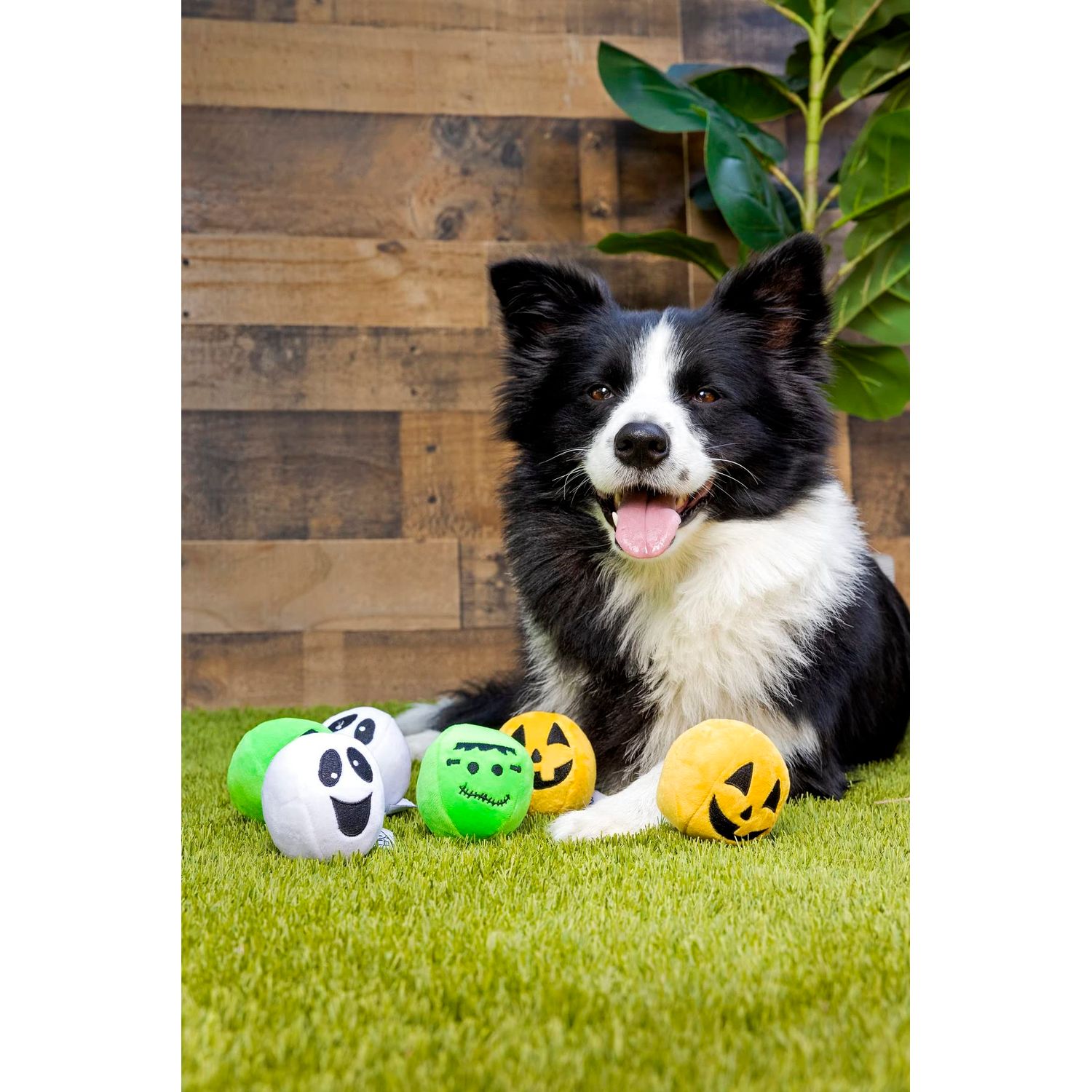 Midlee Silly Face Halloween Balls Plush Dog Toy
