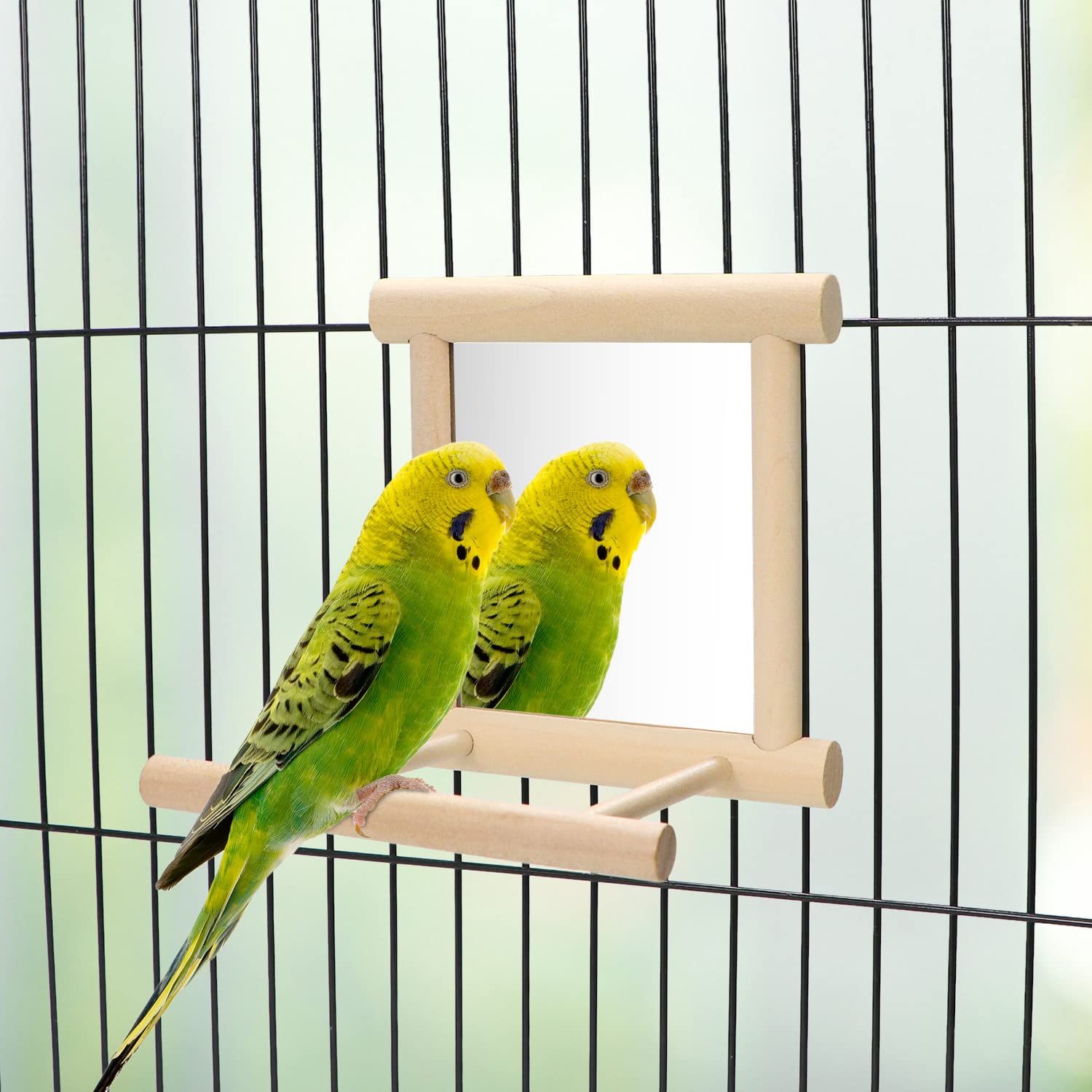 Wontee Bird Mirror with Perch Bird Toys for Parrots Budgies Parakeets Cockatiels Lovebirds Finches Canaries