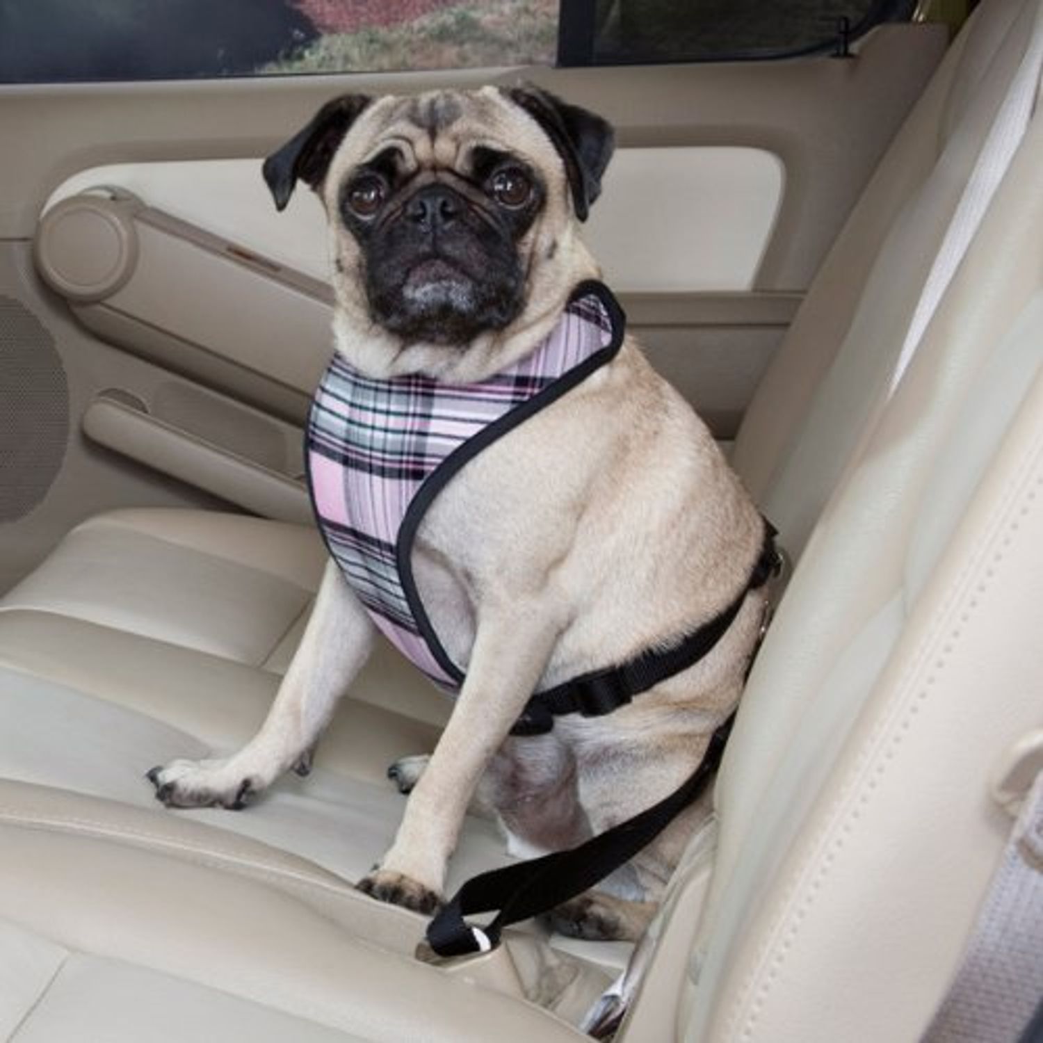 Guardian Gear Polyester/Cotton Plaid Design Car Dog Harness, X-Small, Pink