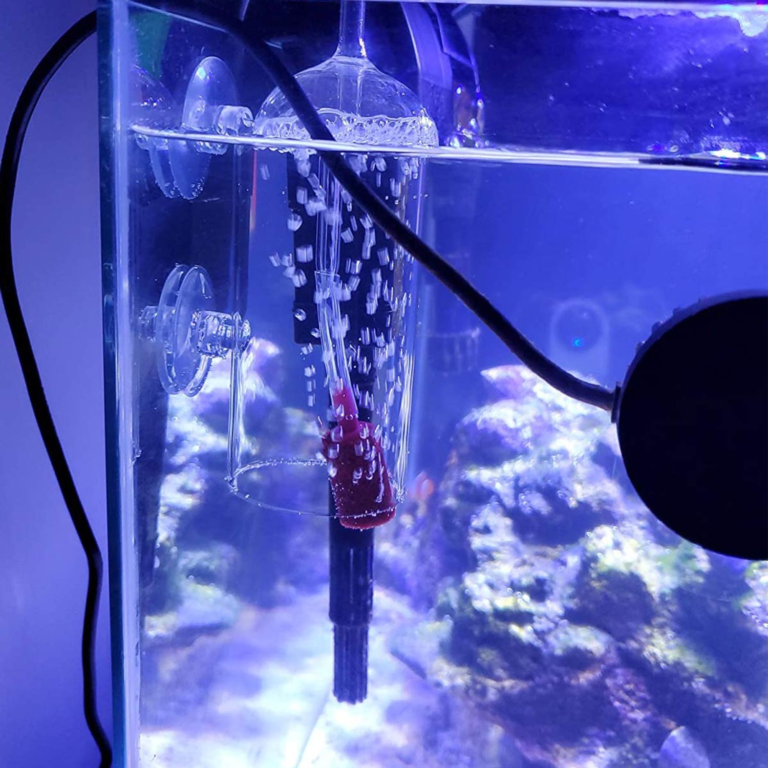 Ailindany Aquarium Air Oxygen Bubbler Glass Cup with Water Tube, Sucker Air Stone, High Dissolved Oxygen for Fish Tank