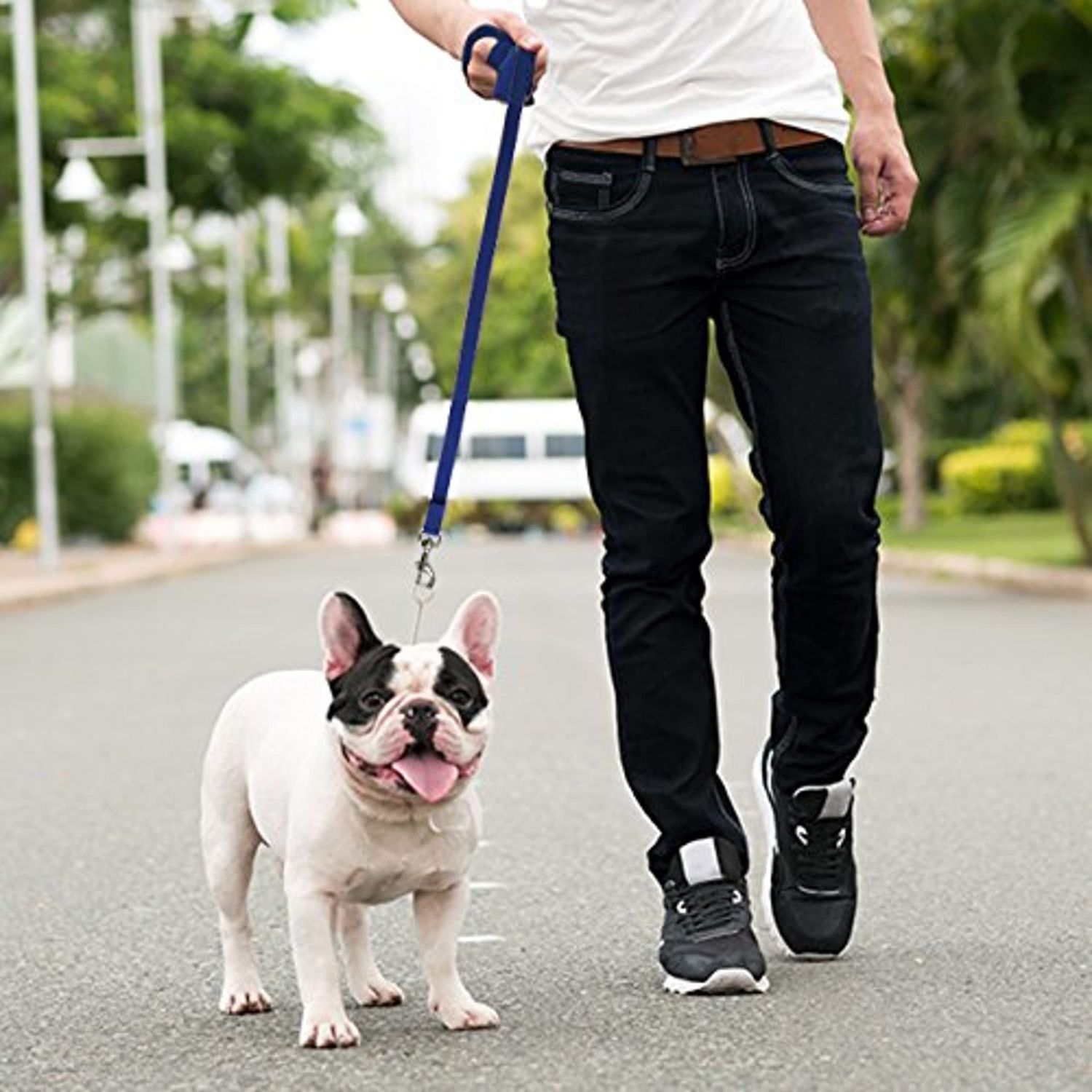Downtown Pet Supply - Long Dog Leash - Dog Training Leash - Recall & Obedience Dog Training Tools - Nylon - 50 ft - Blue Dog Leash
