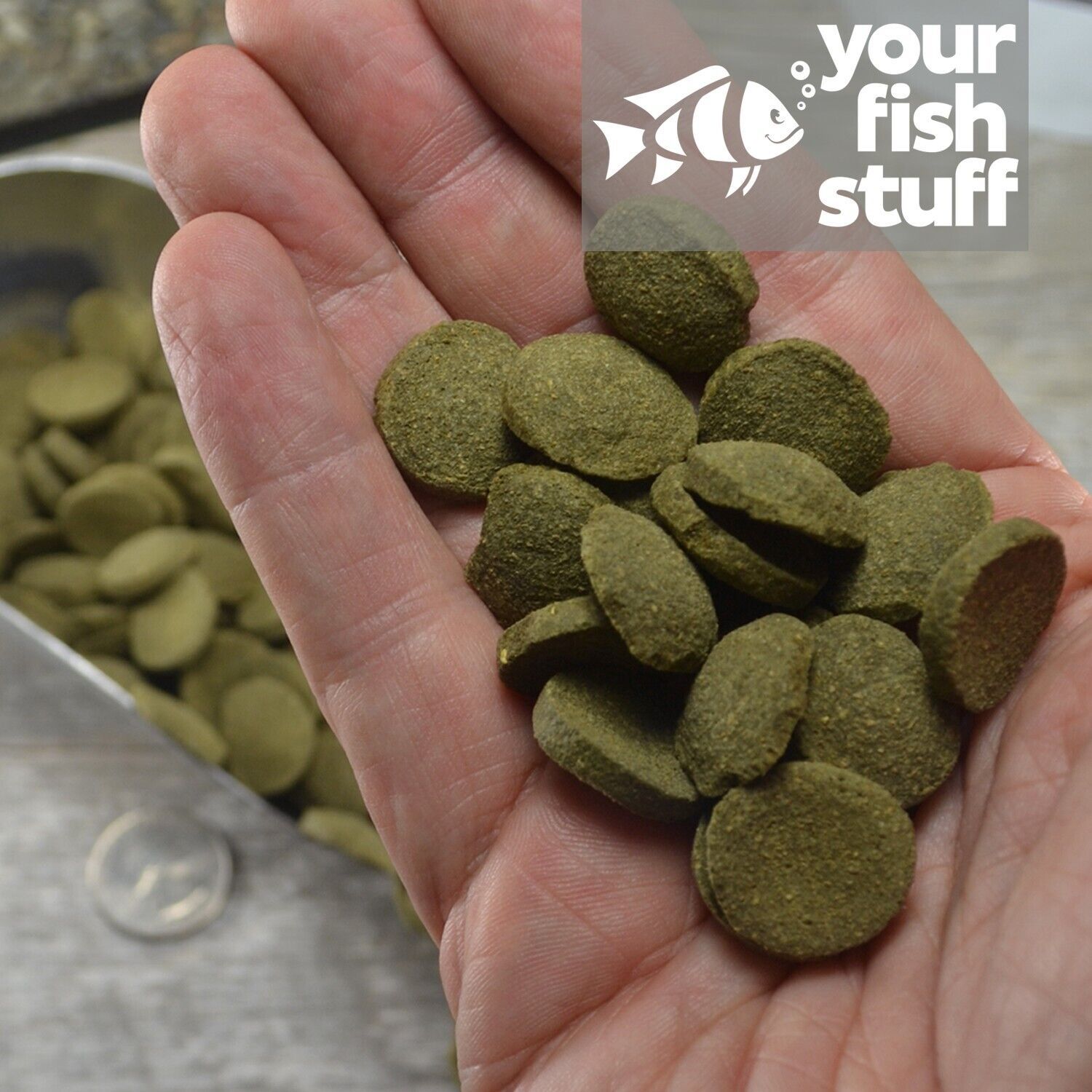 Spirulina Veggie Algae Wafers Pleco Catfish Tropical Bulk Fish Food 1/4LB YFS