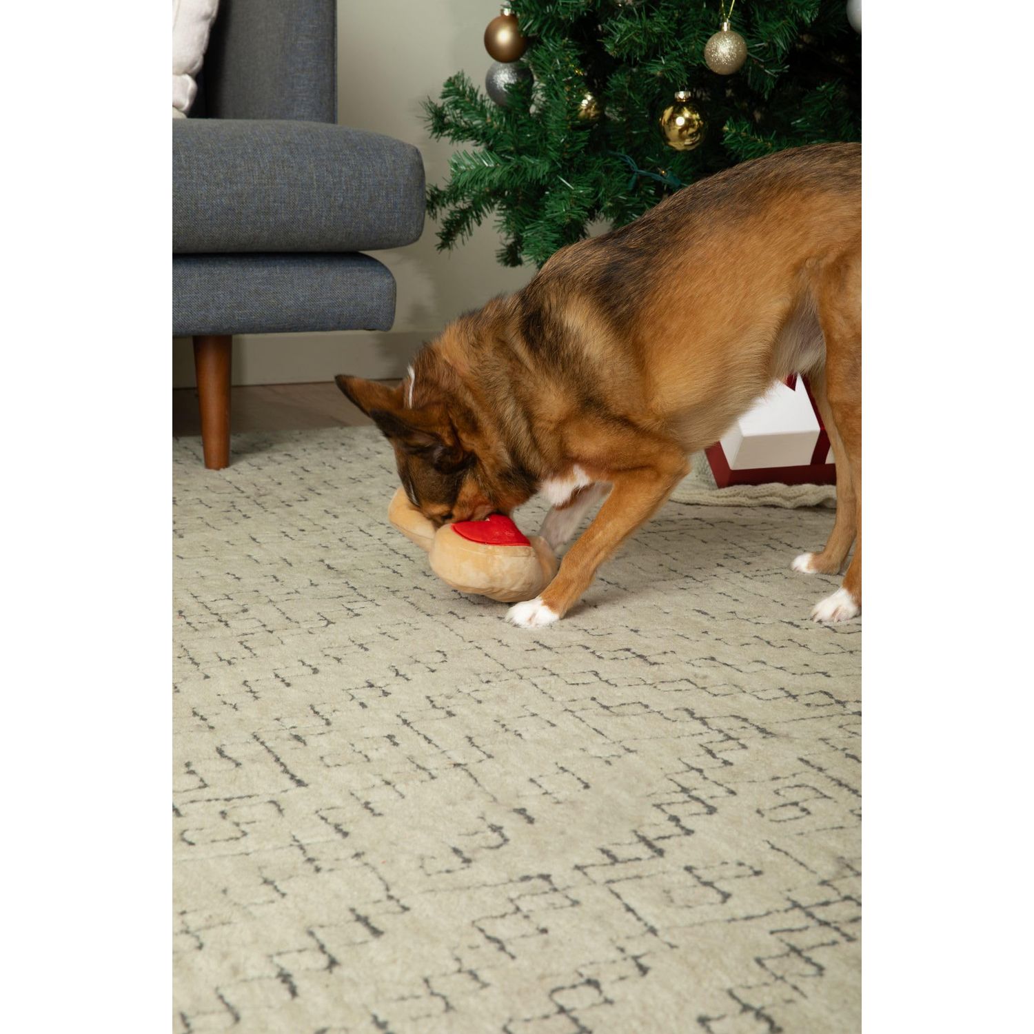 Midlee Santa Boot Sugar Cookie Dog Toy (Small)