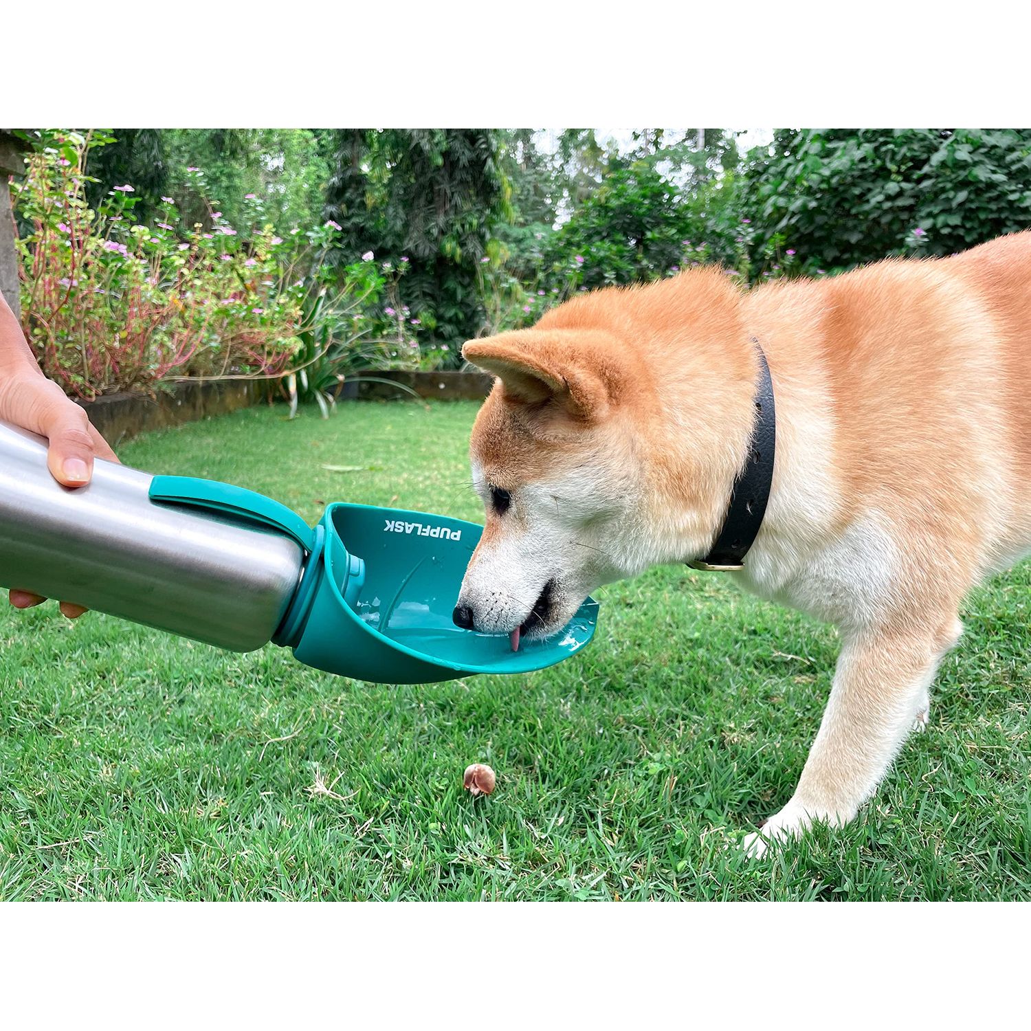 PupFlask Large Dog Water Bottle | 27 or 40 OZ Stainless Steel | Convenient Water Dispenser | Puppy Travel Water Bowl | Portable Pet Leak Proof Bottle Perfect Size For All Dog Breeds