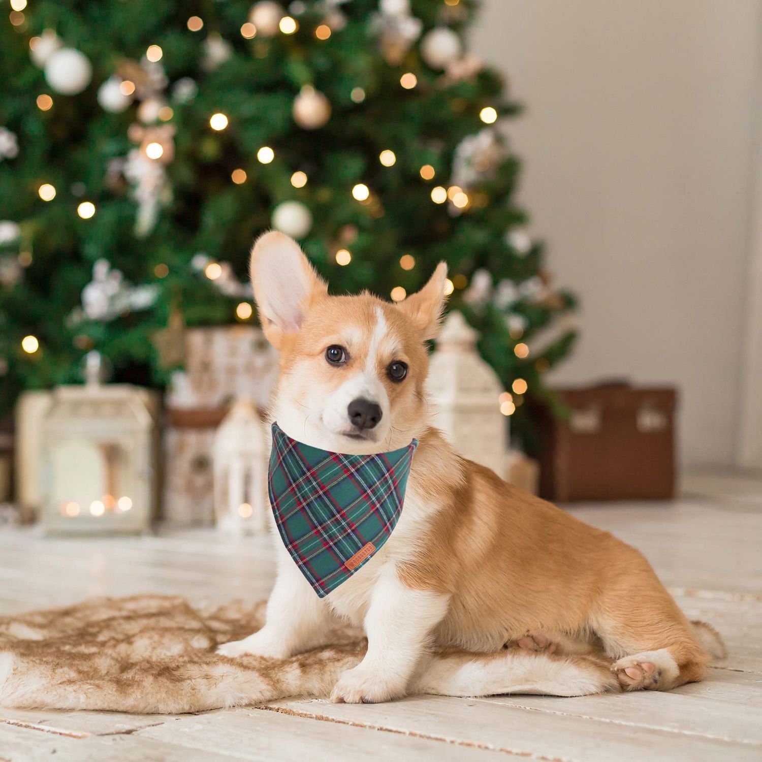 ADOGGYGO Christmas Dog Bandana 2 Pack, Stylish Plaid Dog Scarf, Premium Cotton Fabric, Multiple Sizes Offered, Christmas Bandanas for Medium Large Dogs Pets (Large, Christmas)