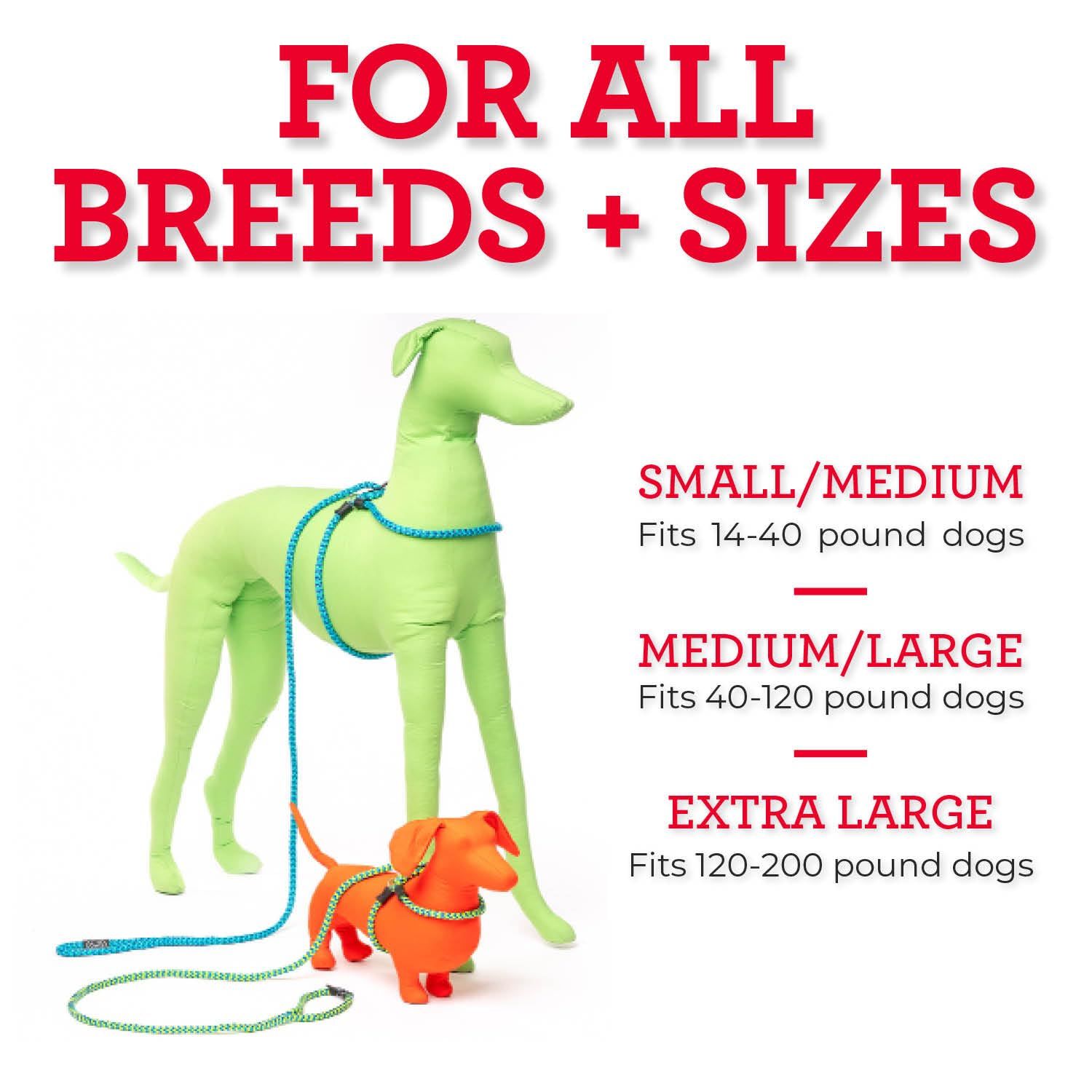 Harness Lead No Pull Dog Harness and Leash Set, Anti Pull Dog Harness for All Breeds and Sizes, One-Piece Cushioned Rope Design Safely Prevents Escaping and Pulling (Medium/Large, Black/Reflective)