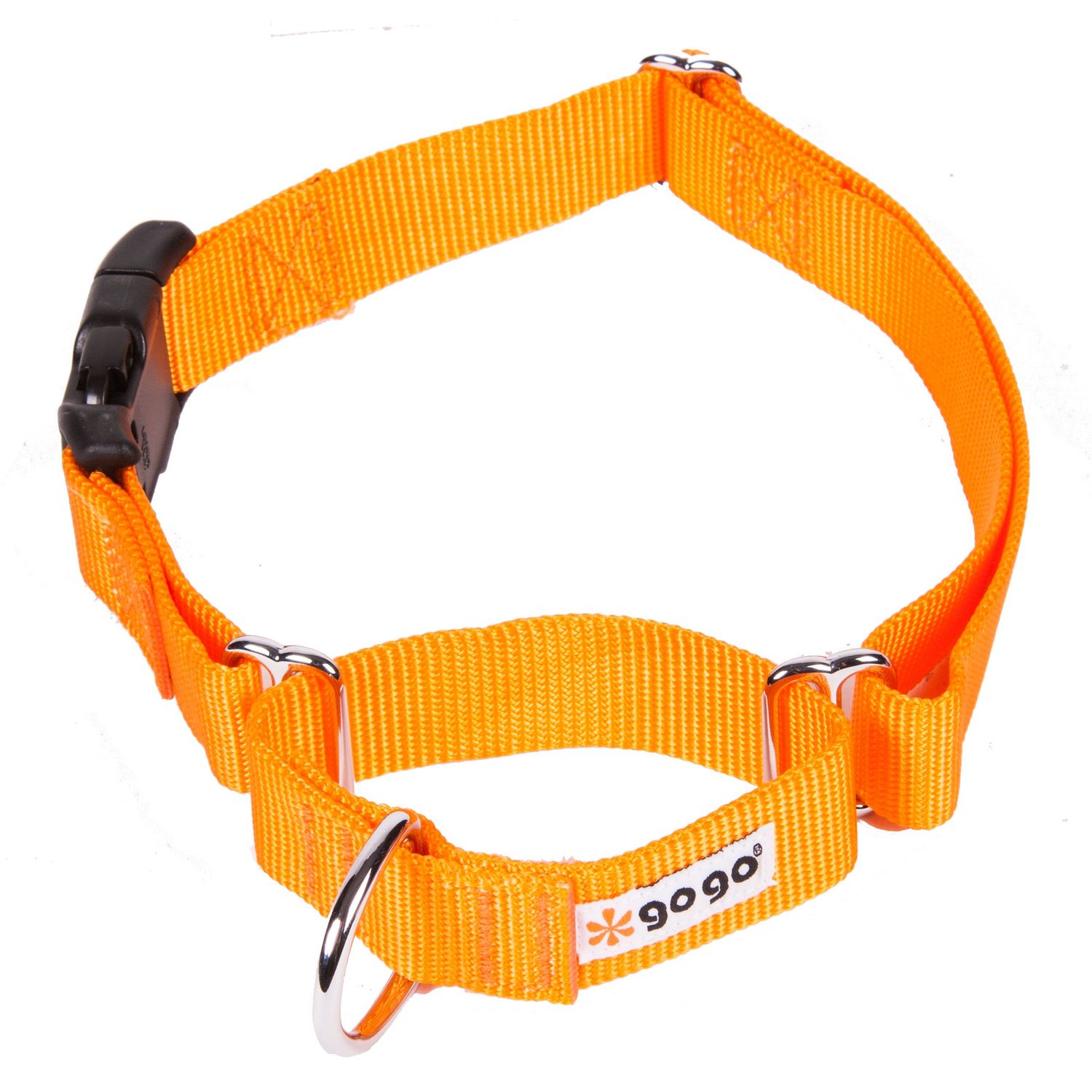 GoGo Pet Products GoGo 3/4-Inch Martingale Dog Collar, Medium, Orange
