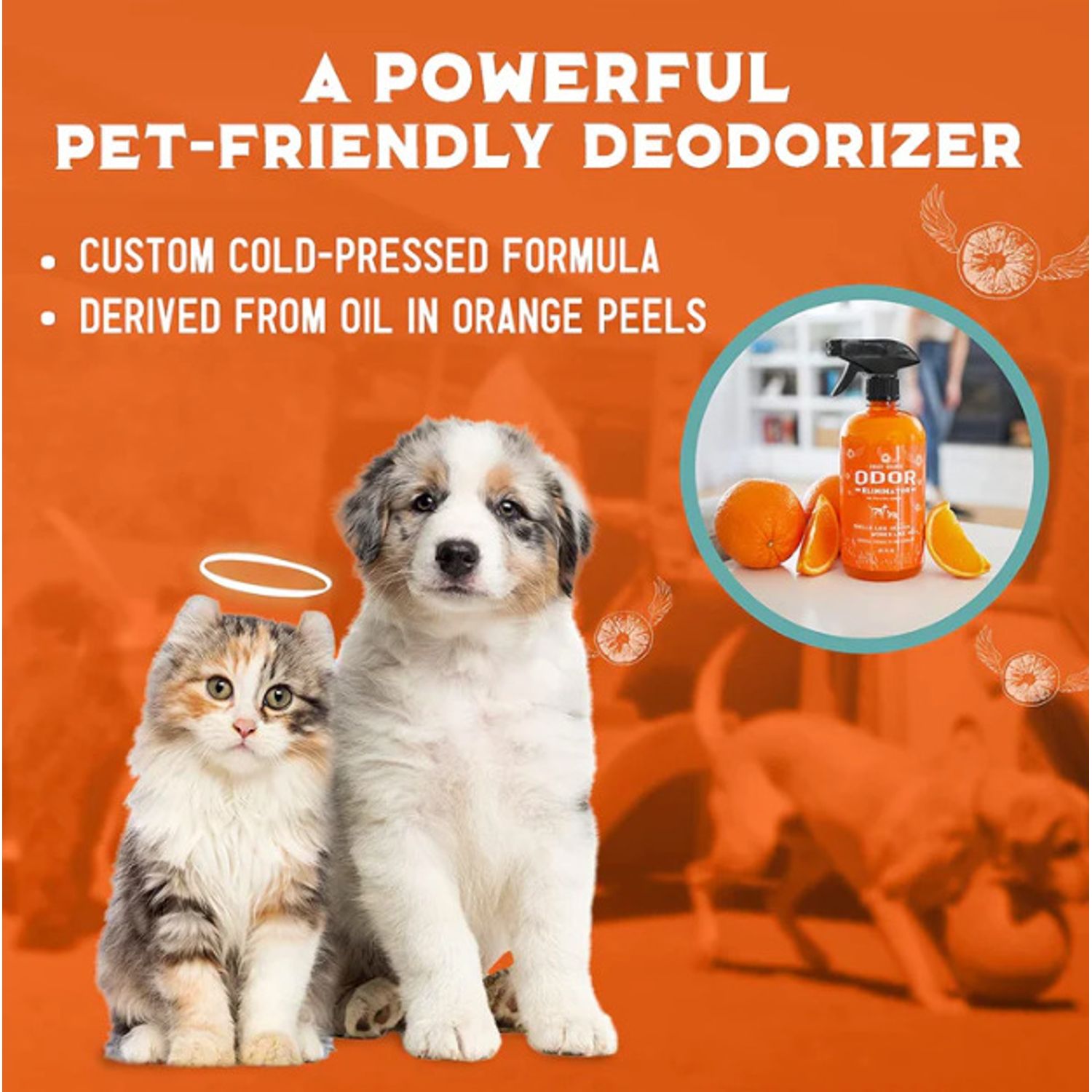 ANGRY ORANGE Pet Odor Eliminator Citrus Deodorizer Pet Dog Cat Large 24oz Spray