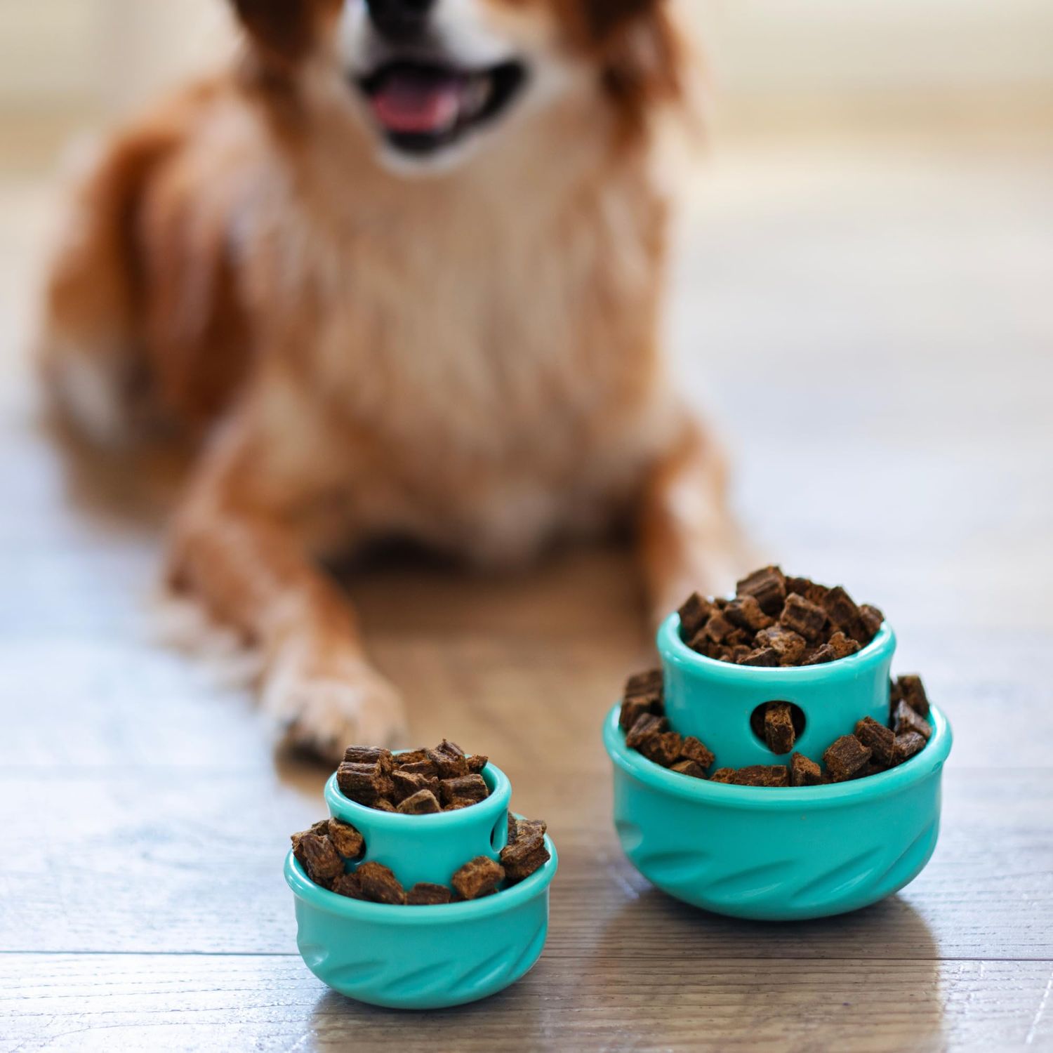 Messy Mutts Totally Pooched Puzzle 'n Play Mushroom | Interactive Treat Puzzle Toy for Dogs | Durable 4” x 3.5” TPR Dog Toy | Green