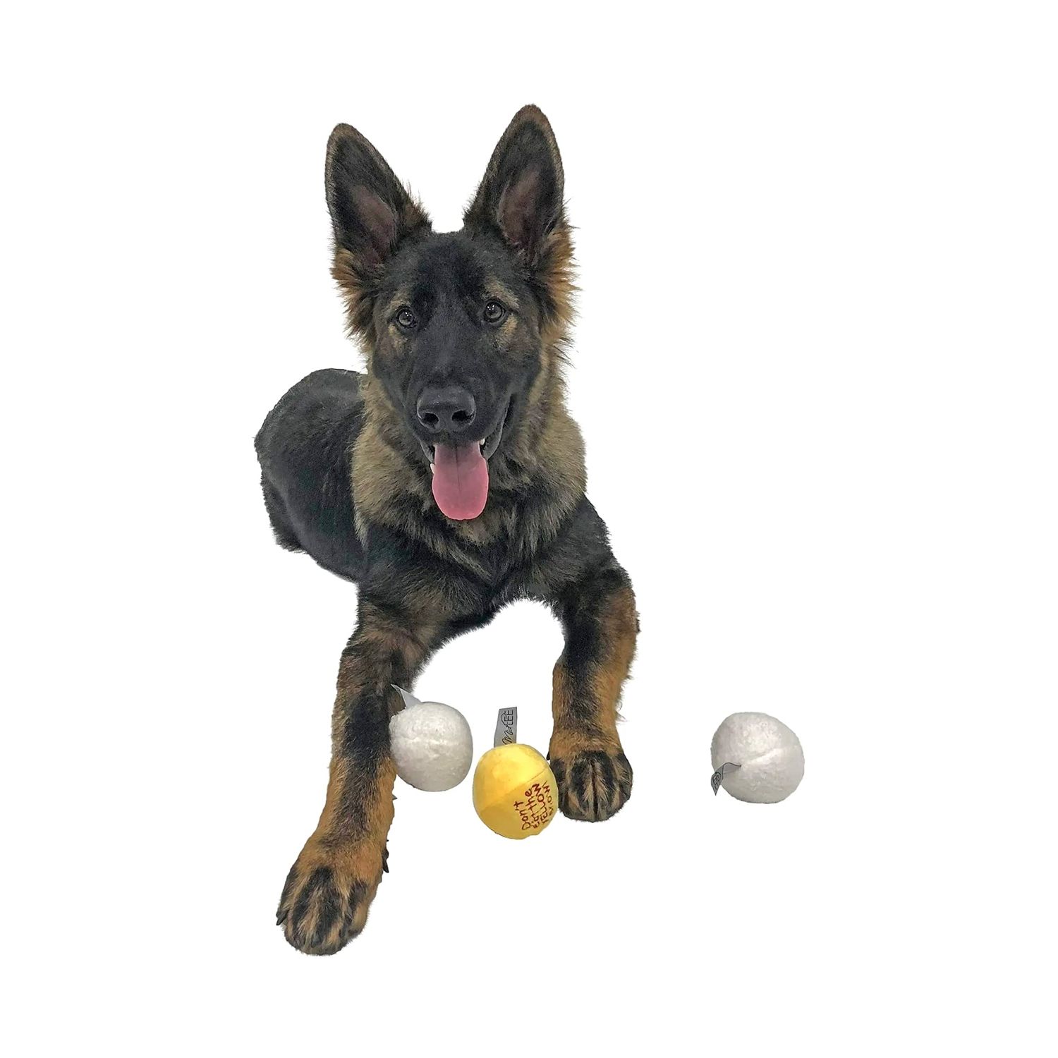 Midlee Snowball Fight Plush Dog Toy - 3"