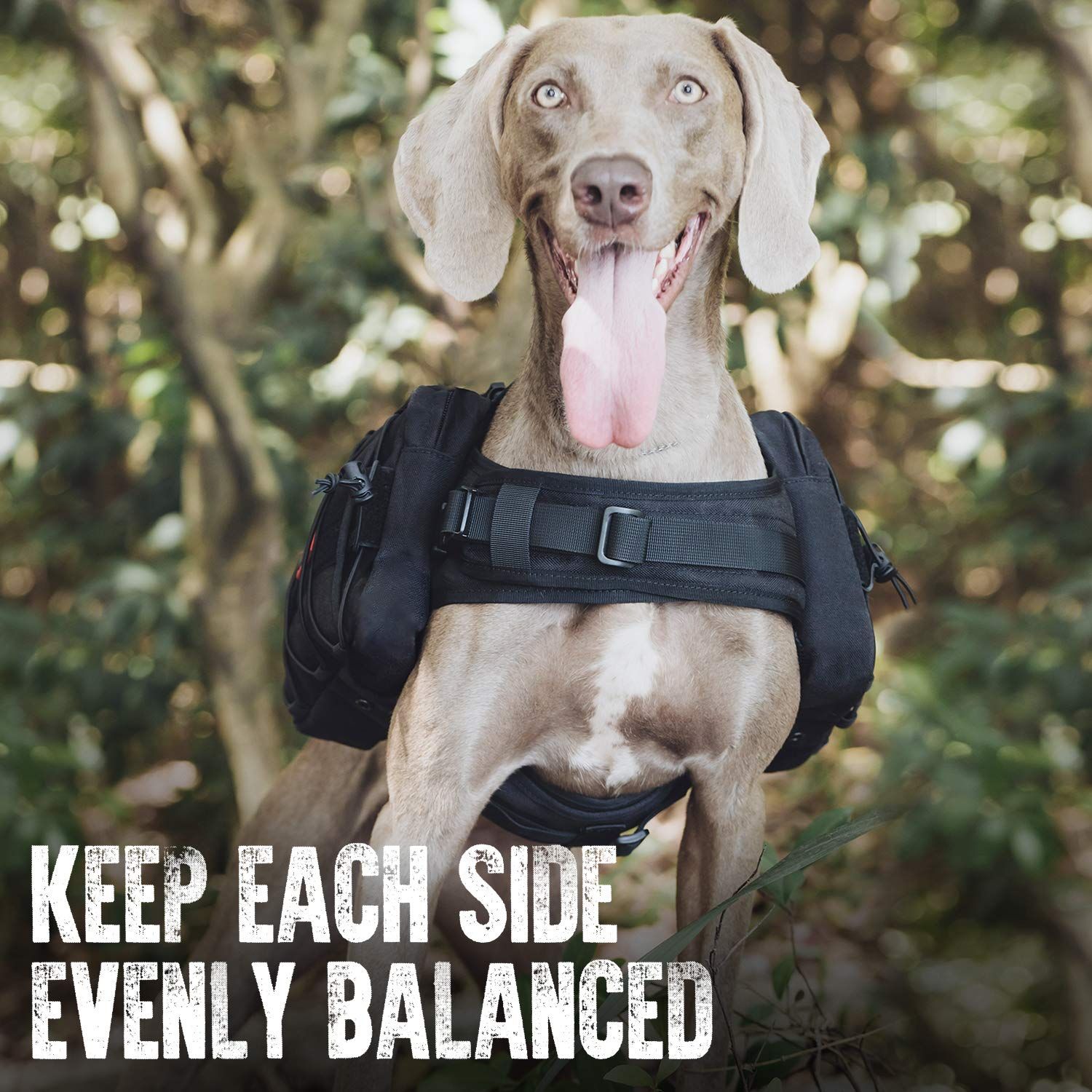 OneTigris Dog Backpack for Hiking Nylon Dog Harness Backpack with Side Pockets for Large Dog with 22"-31.5" Neck Girth and 29"-35.8" Chest Girth (Black)
