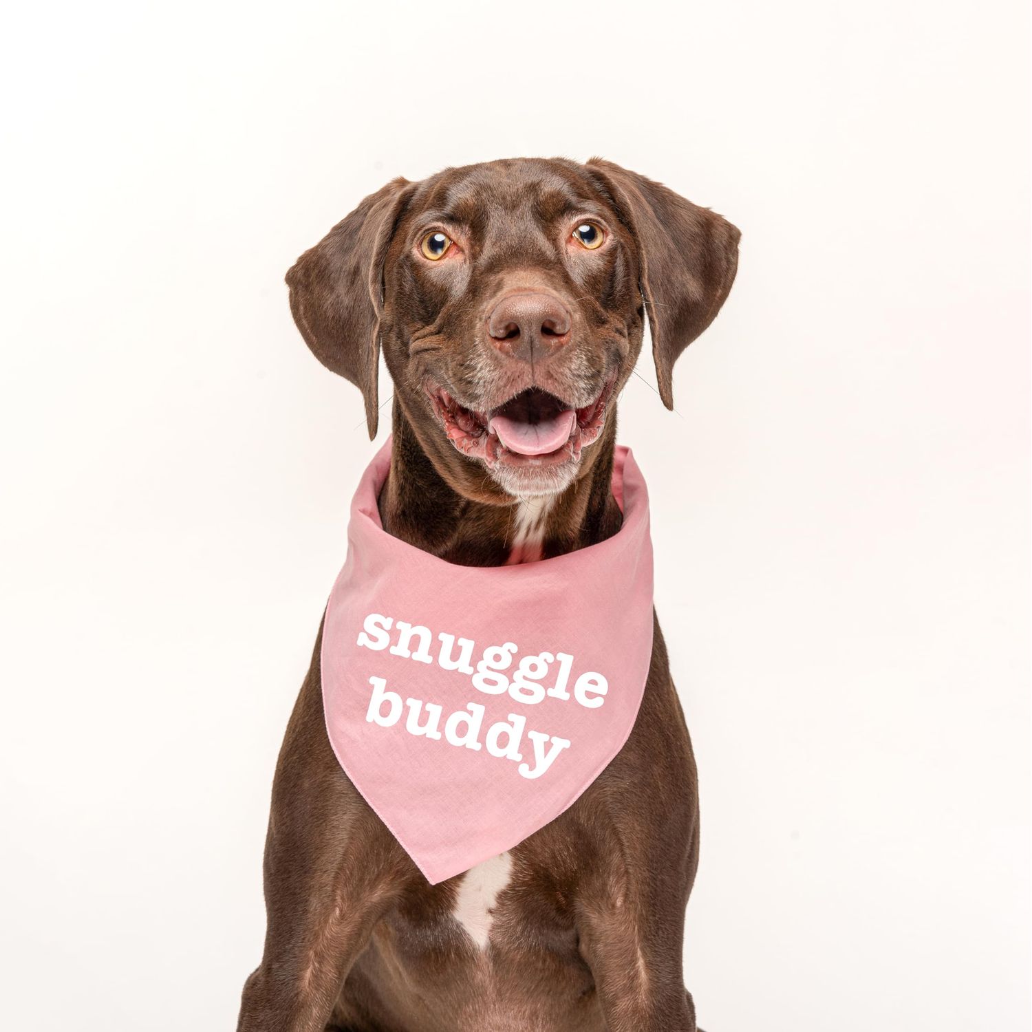 Snuggle Buddy Valentine's Day Dog Bandana (Royal, OS 585)