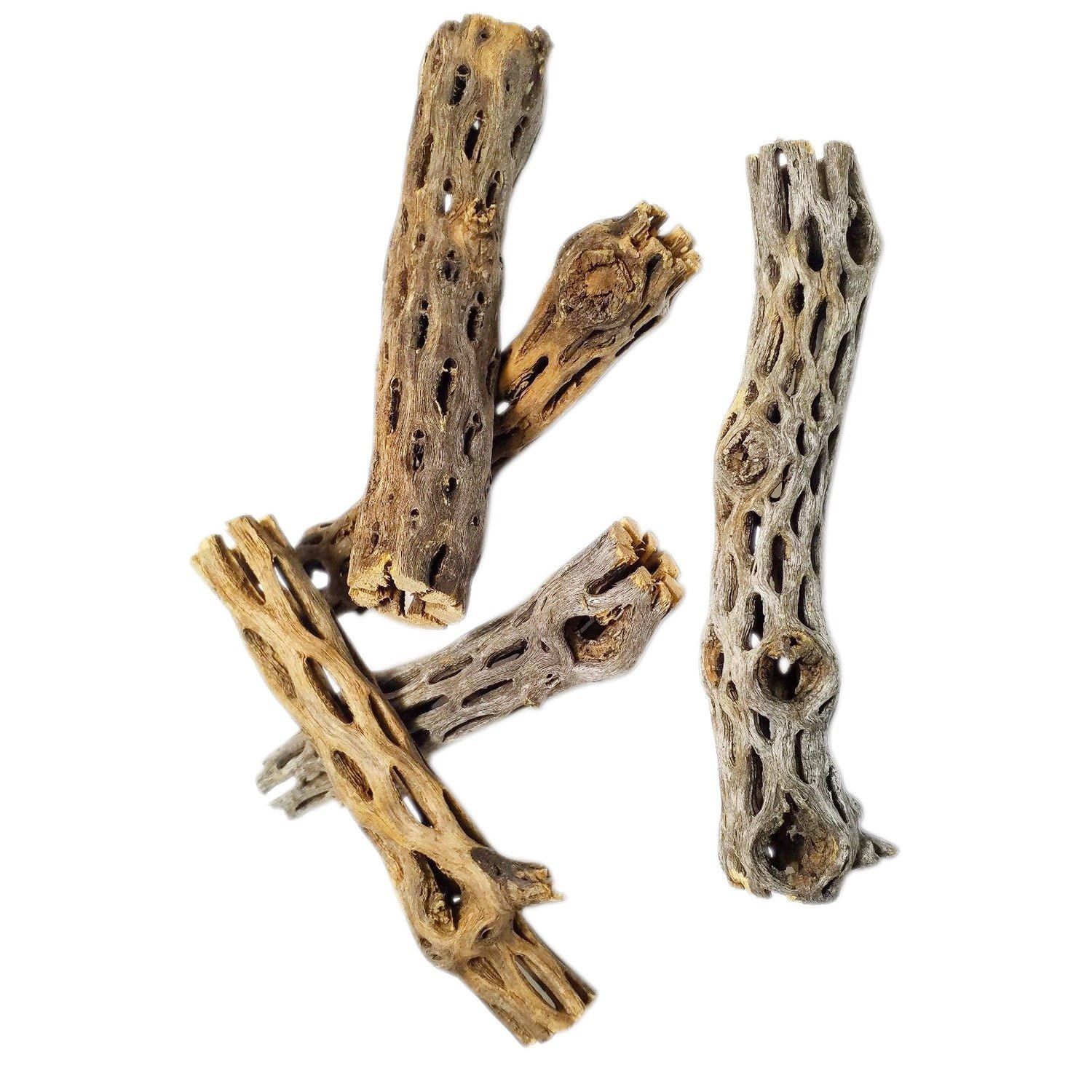 Aquatic Foods Inc. 6" Cholla Cactus Wood for Freshwater Shrimp, Crabs, Snails, Crayfish and All Aquariums Extra Tourmaline Mineral Supplement Balls Included - 10 Pieces