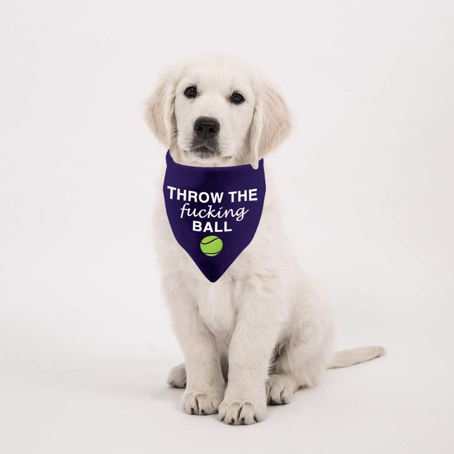 2 Pack Throw The F** Ball Dog Bandana Ball is Life Gift for Dog Owner (Throw The Ball 2 Pack)