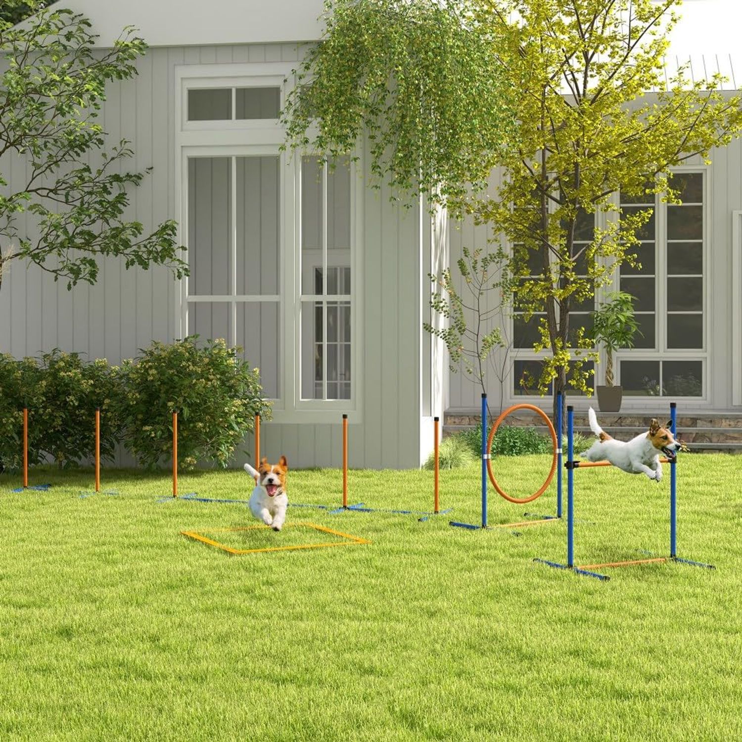 4 Pieces Dog Agility Training Equipment with Weave Poles, Adjustable Hurdle Jumping Ring, Pause Box, Whistle, Toy Balls for Backyard,Obstacle Course for Dogs Backyard (Blue + Orange, 4 Piece)