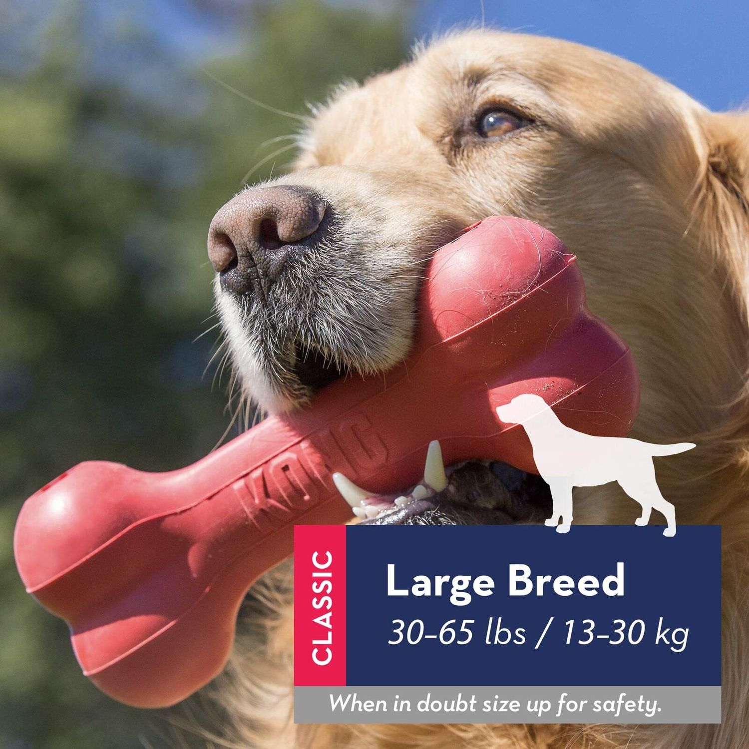 KONG Goodie Bone Durable Chew Toy for Dogs Stuffable Red Rubber Toy 1 Pack