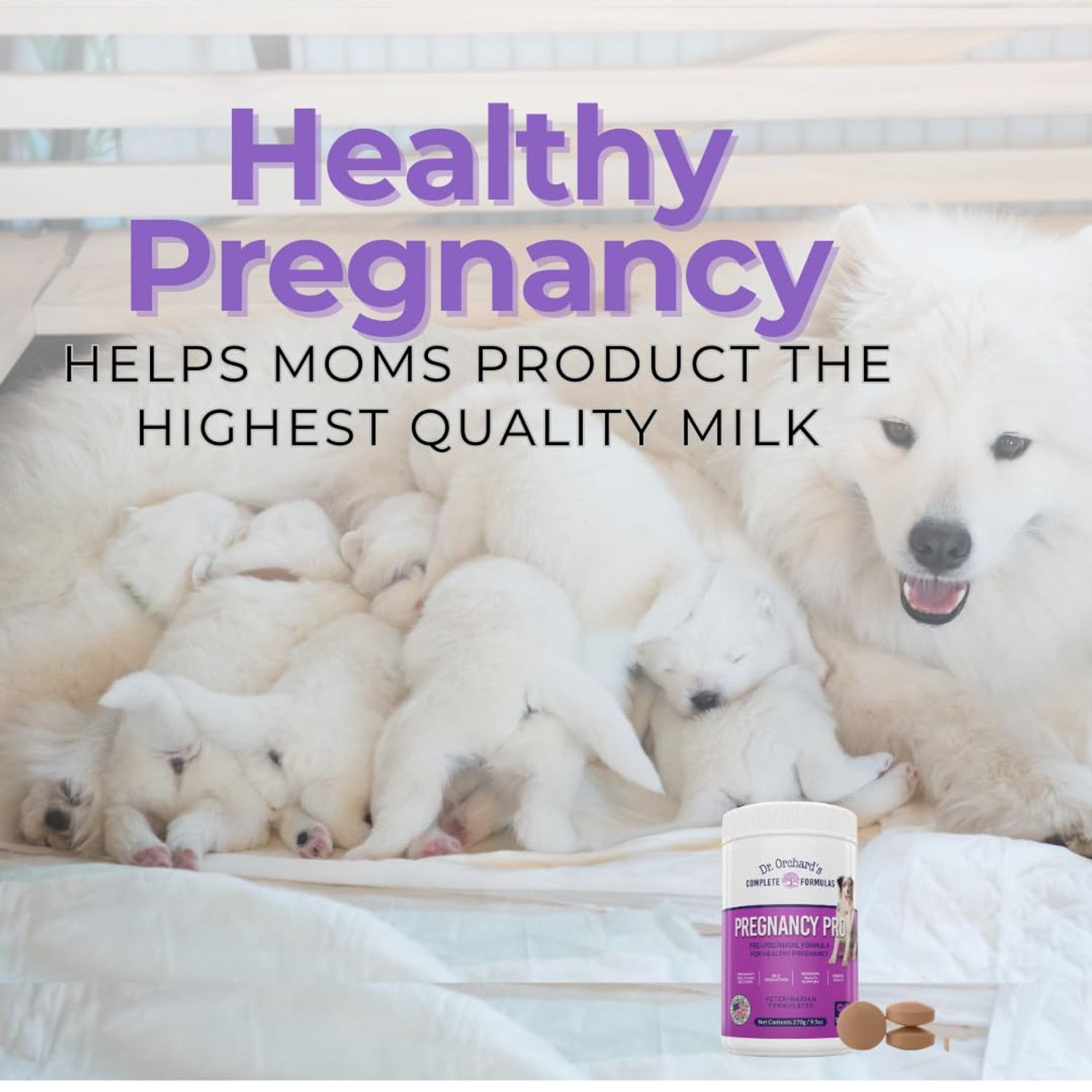 Dr Orchards Pregnancy Pro Dog Prenatal Vitamins - Premium Dog Supplement for Pregnancy, Prenatal + Postnatal, Lactation and Newborn Health Support, 90 Ct