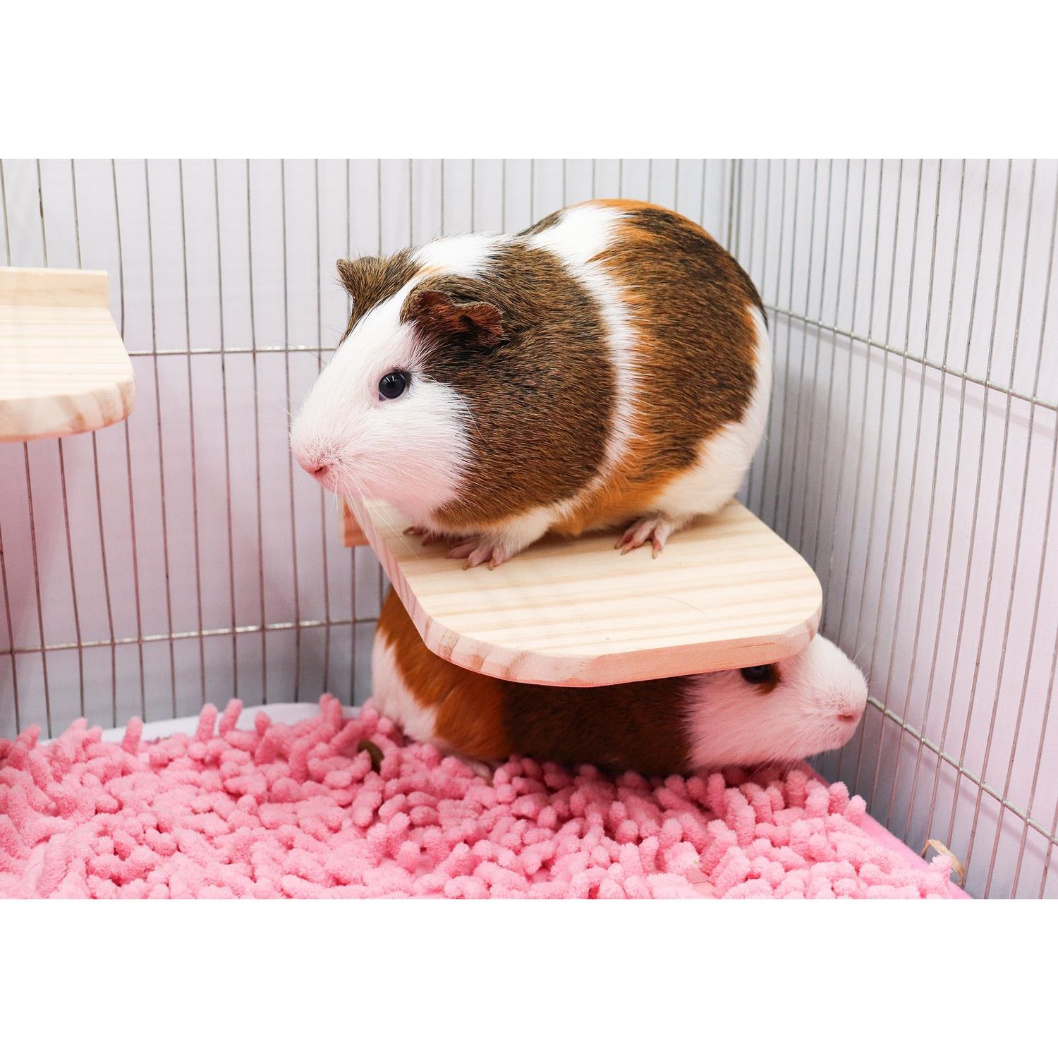 Guinea Pig Platform Set with Feeding Bowl, 3 Pack Wooden Hamster Cage Platform, Small Animals Perch Stand Board, Cage Accessories for Hamster Rats Squirrel Gerbil Birds Parrots Parakeets Guinea Pig